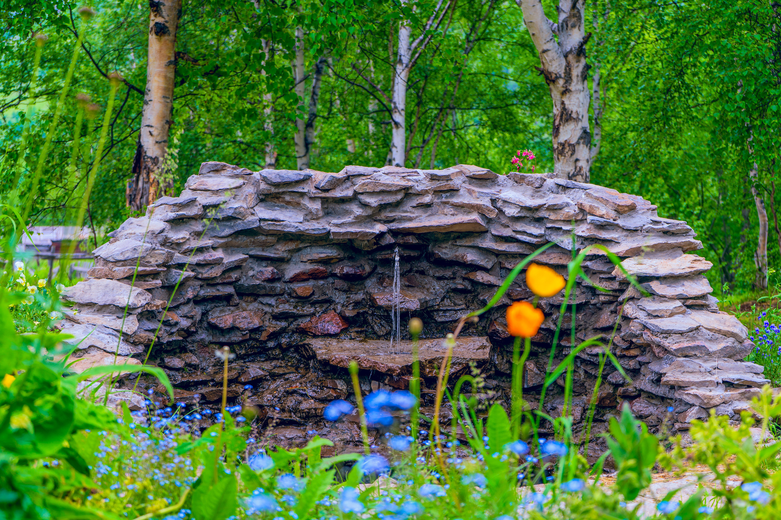 Лето. Фотограф Ворошилов Дмитрий. Эссо. Камчатка