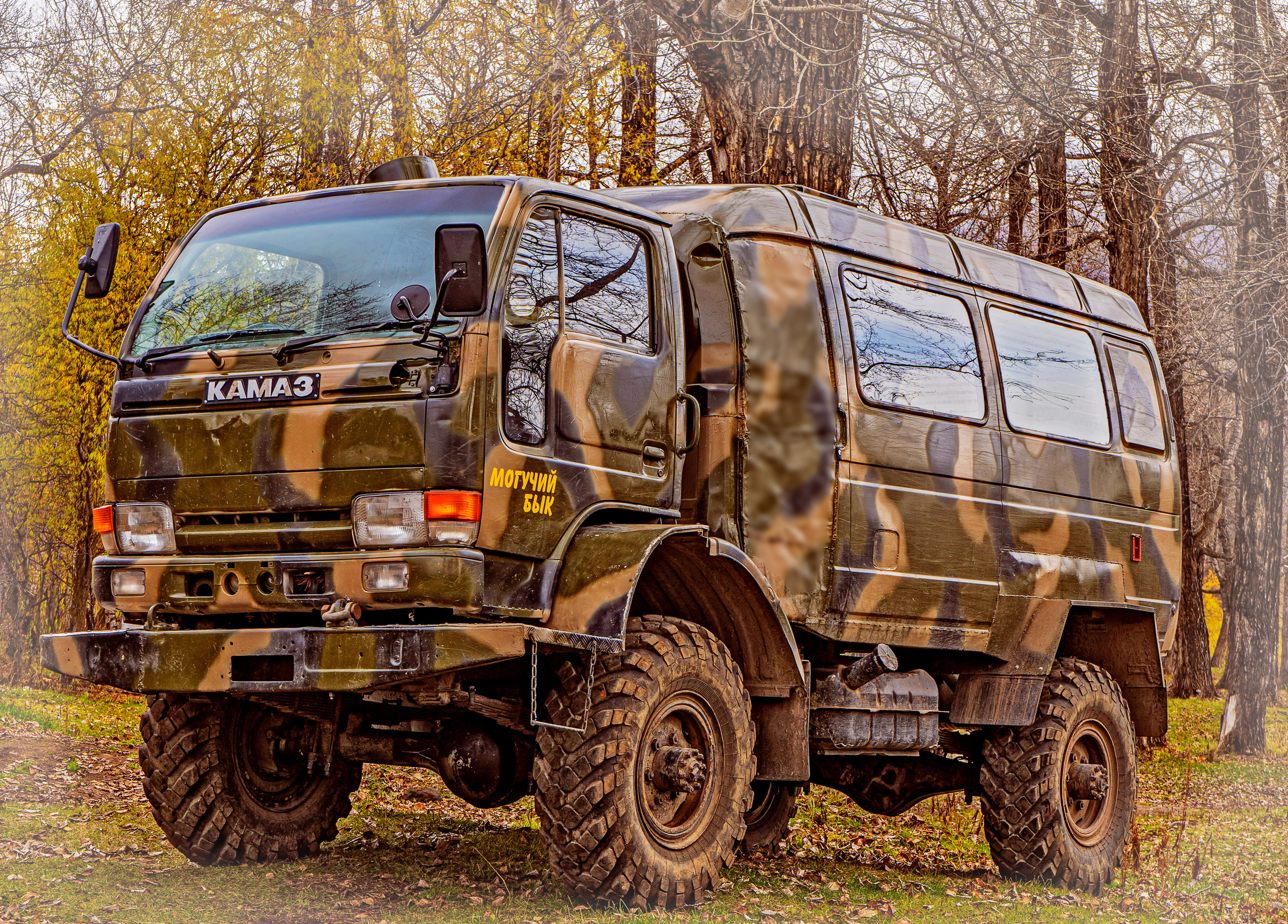 Осень. Фотограф Ворошилов Дмитрий. Эссо. Камчатка