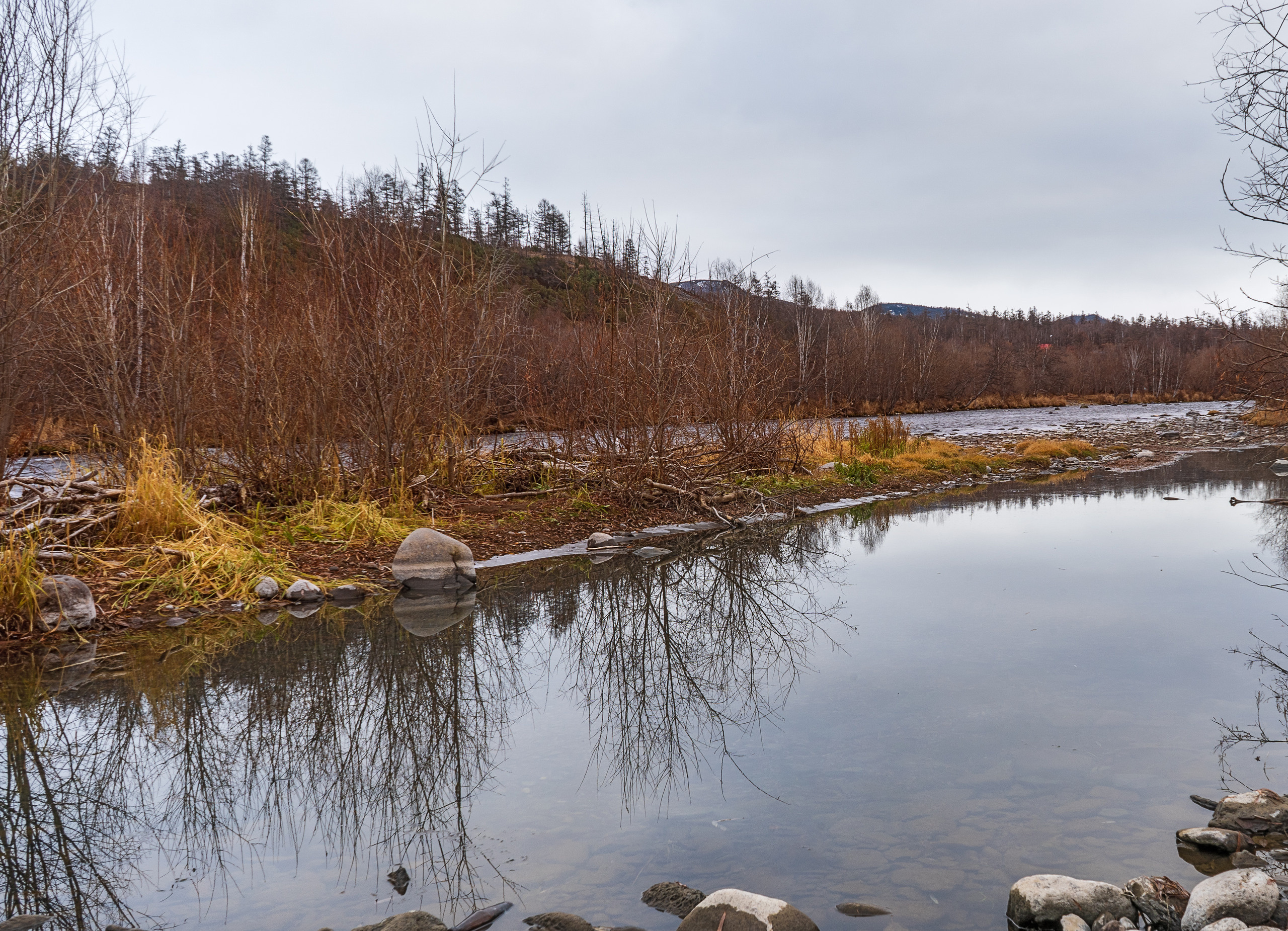Осень. Фотограф Ворошилов Дмитрий. Эссо. Камчатка