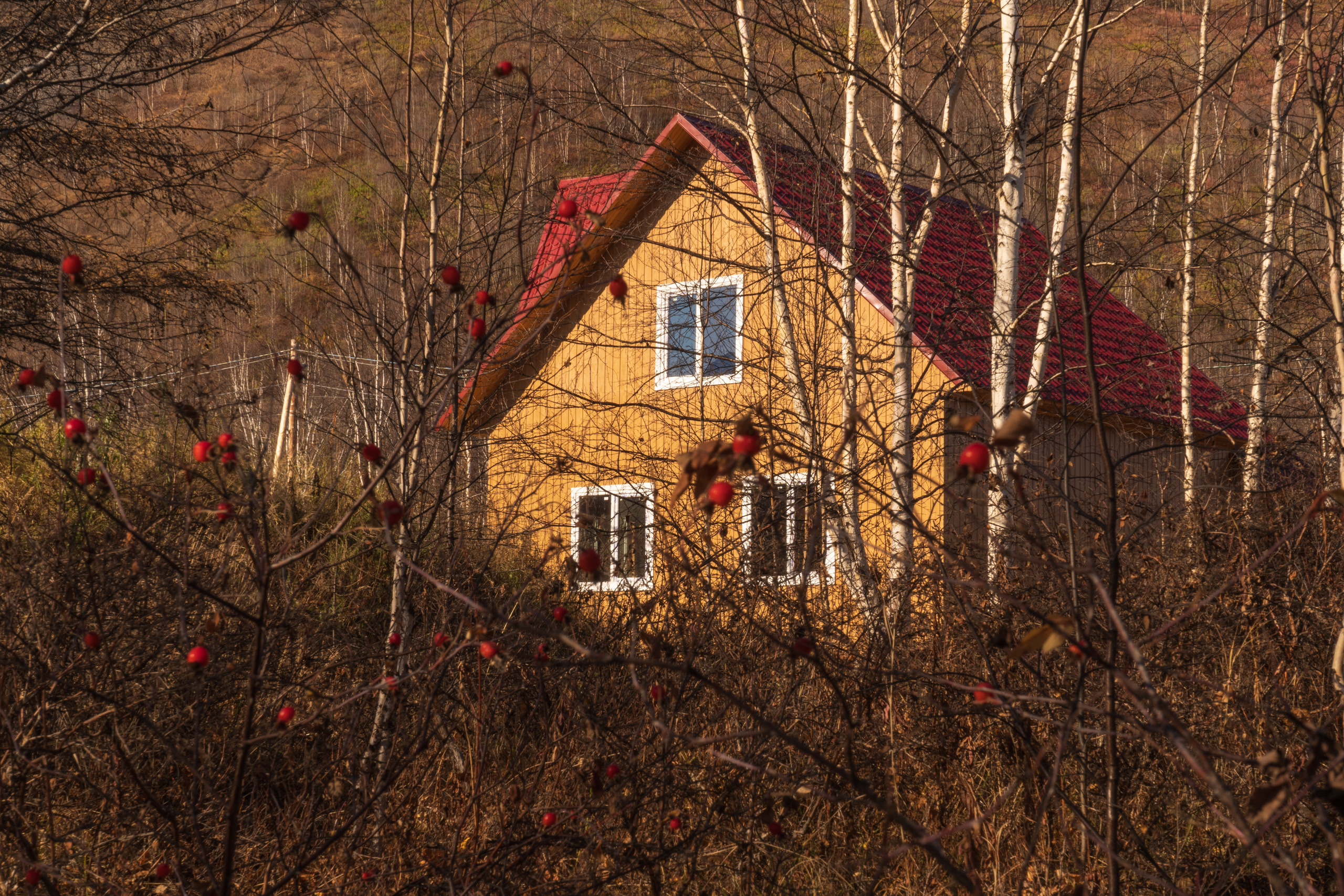 Осень. Фотограф Ворошилов Дмитрий. Эссо. Камчатка