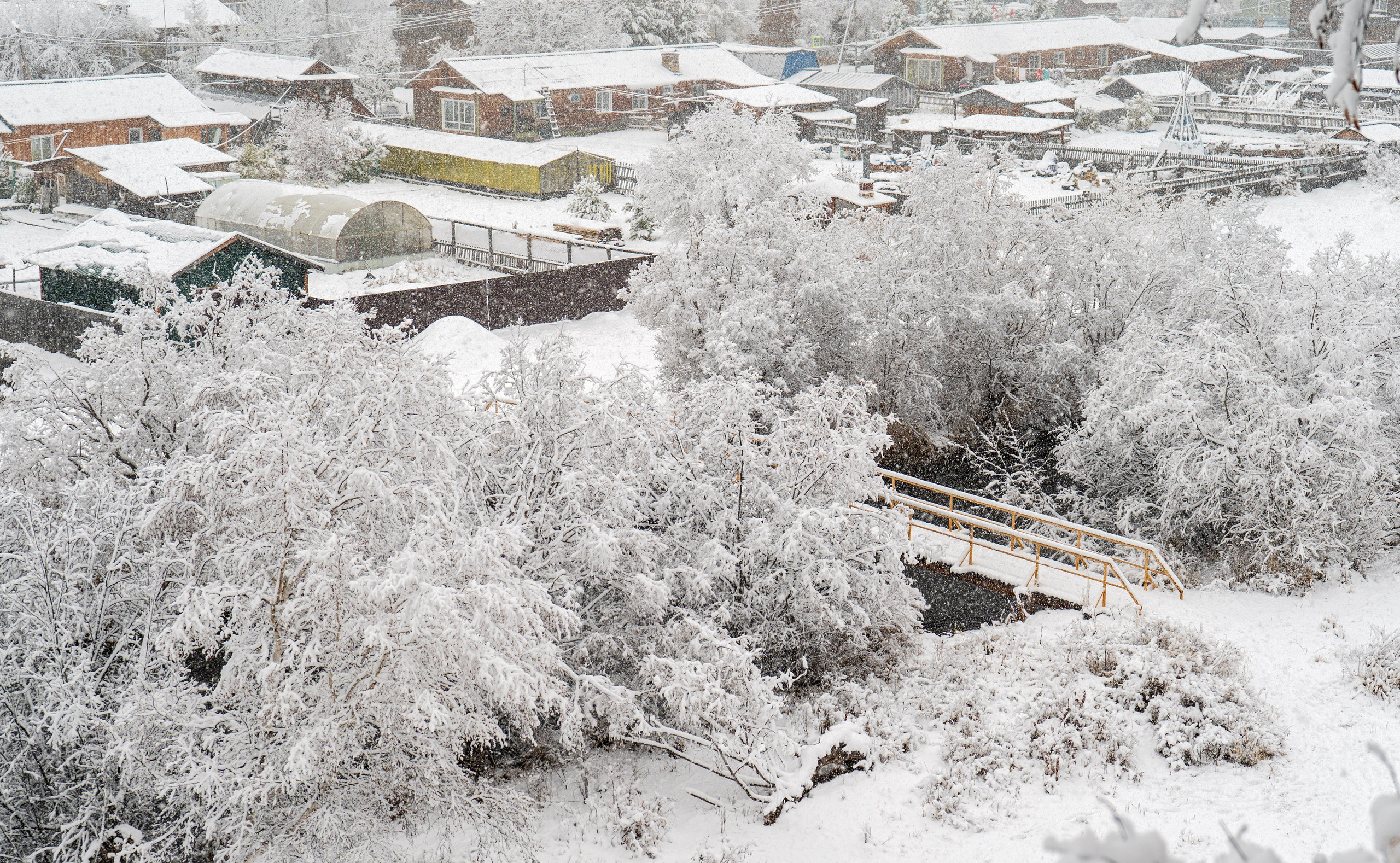 эссо фотокамчатка фото