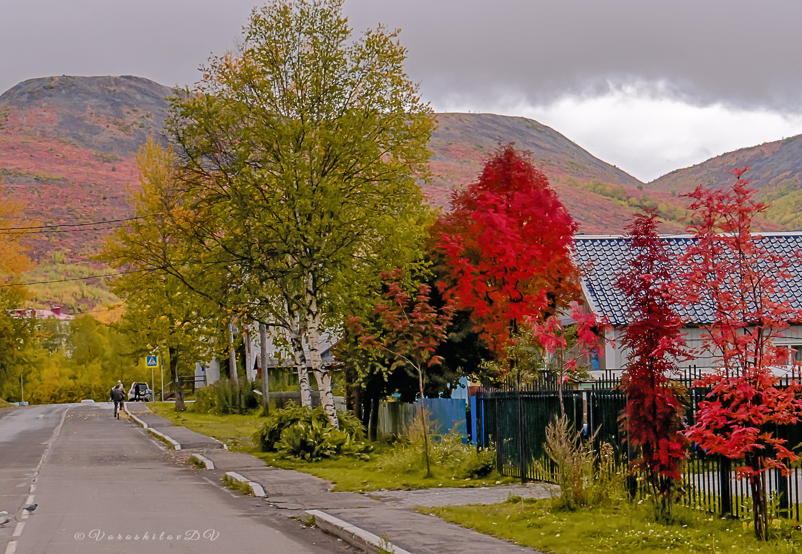 Осень. Фотограф Ворошилов Дмитрий. Эссо. Камчатка
