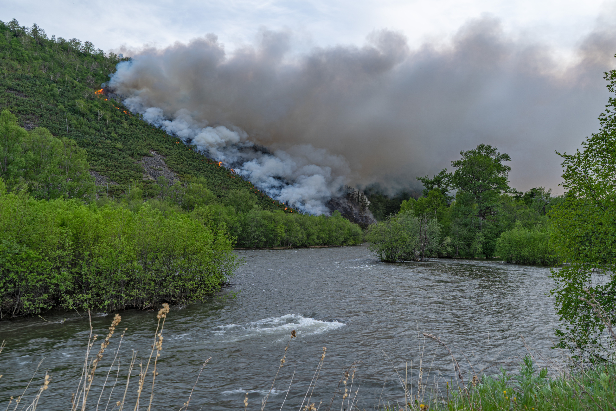 Пожар в Эссо 2020. Фотограф Ворошилов Дмитрий. Эссо. Камчатка