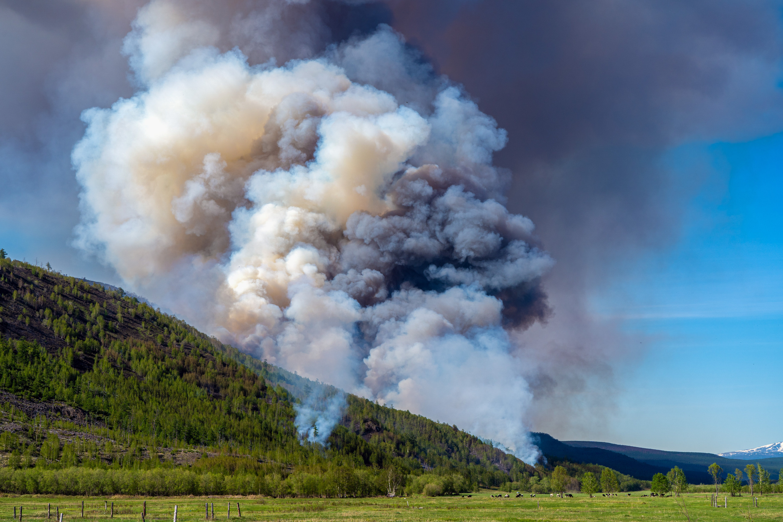 Пожар в Эссо 2020. Фотограф Ворошилов Дмитрий. Эссо. Камчатка
