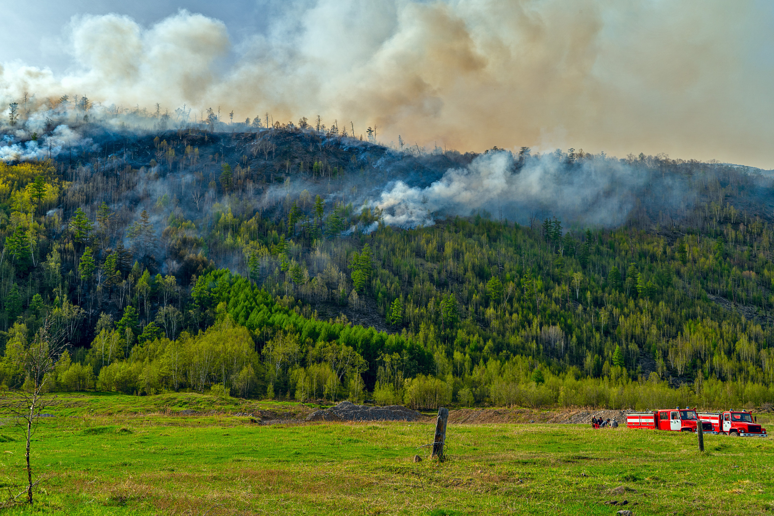 Пожар в Эссо 2020. Фотограф Ворошилов Дмитрий. Эссо. Камчатка