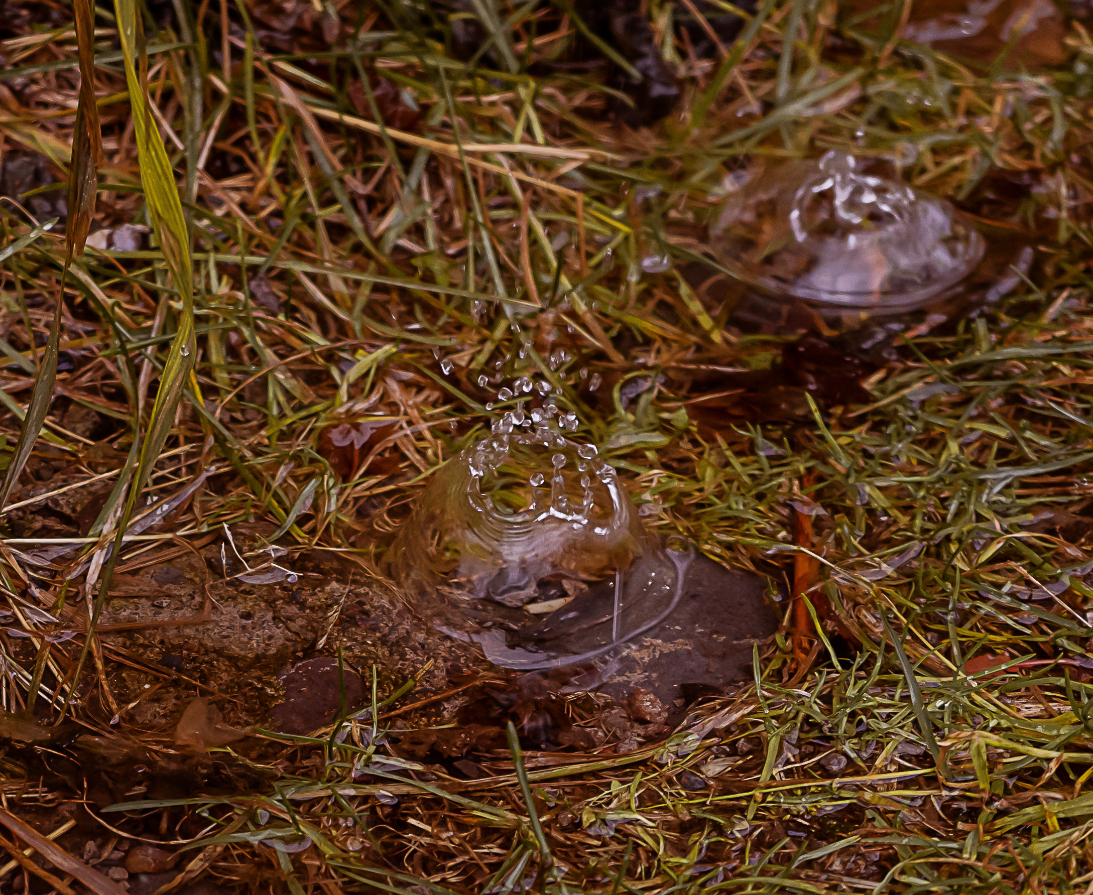 Осень. Фотограф Ворошилов Дмитрий. Эссо. Камчатка