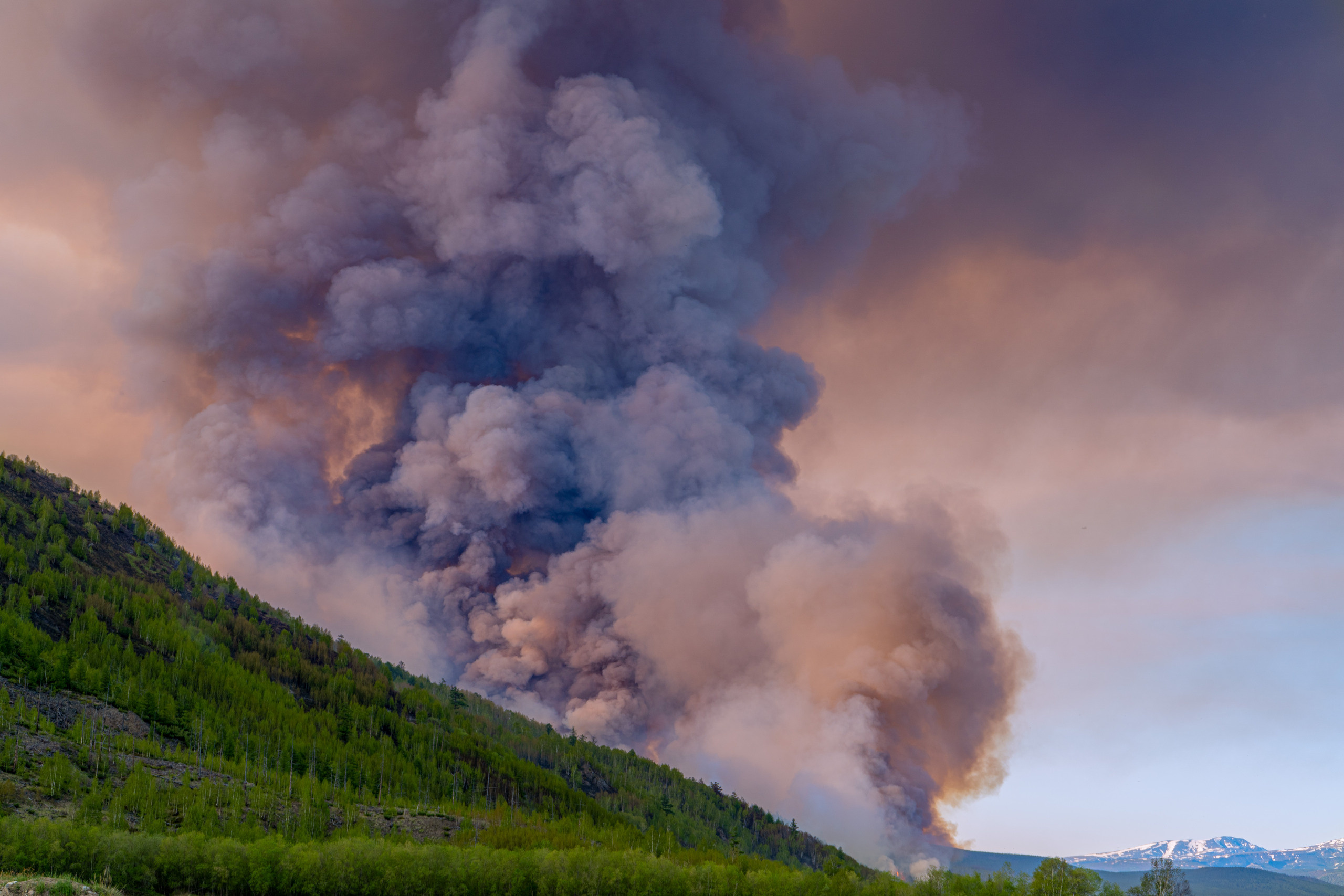 Пожар в Эссо 2020. Фотограф Ворошилов Дмитрий. Эссо. Камчатка