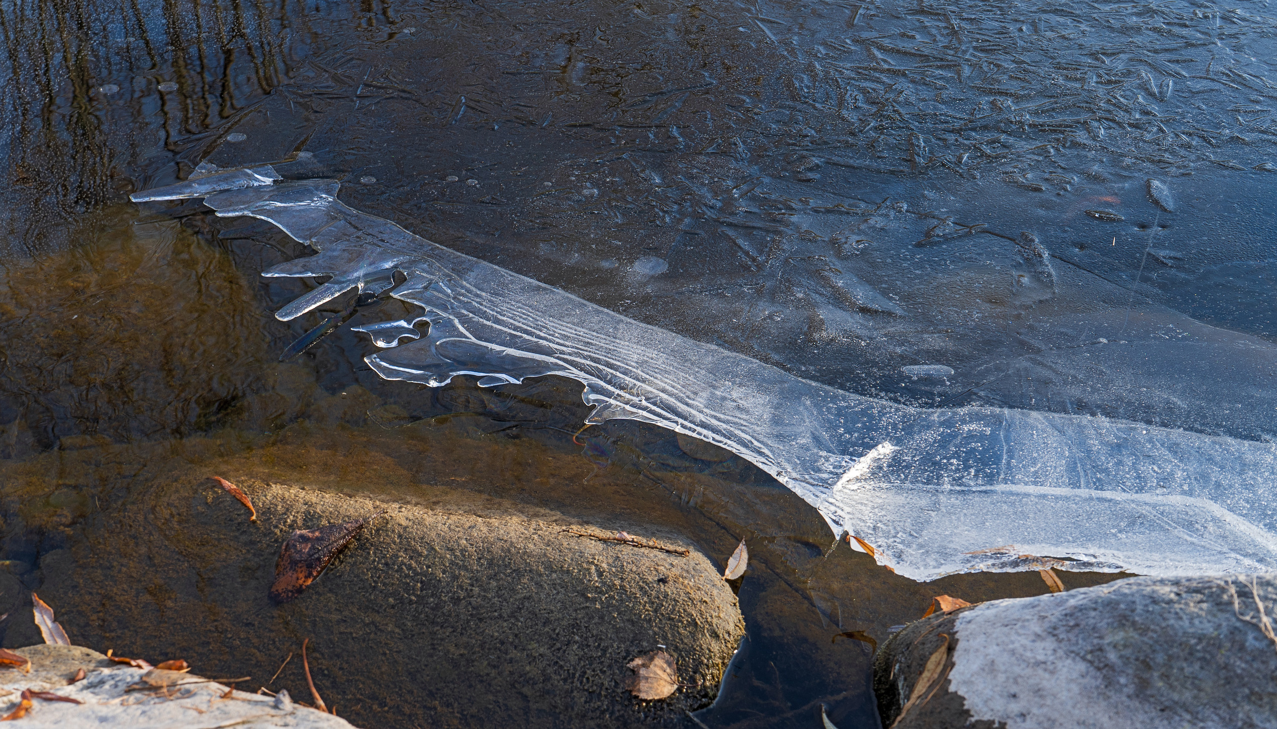 Осень. Фотограф Ворошилов Дмитрий. Эссо. Камчатка