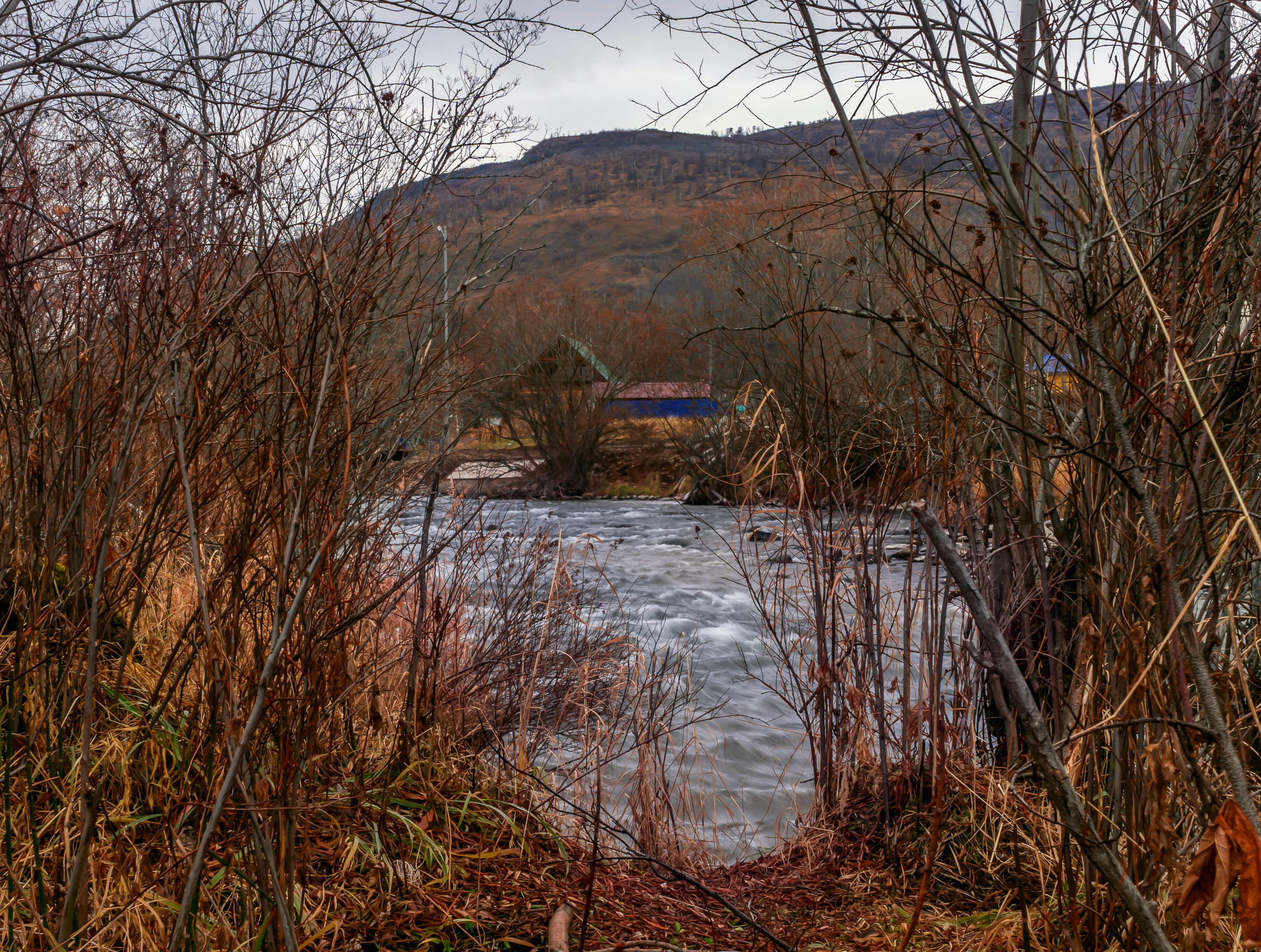 Осень. Фотограф Ворошилов Дмитрий. Эссо. Камчатка