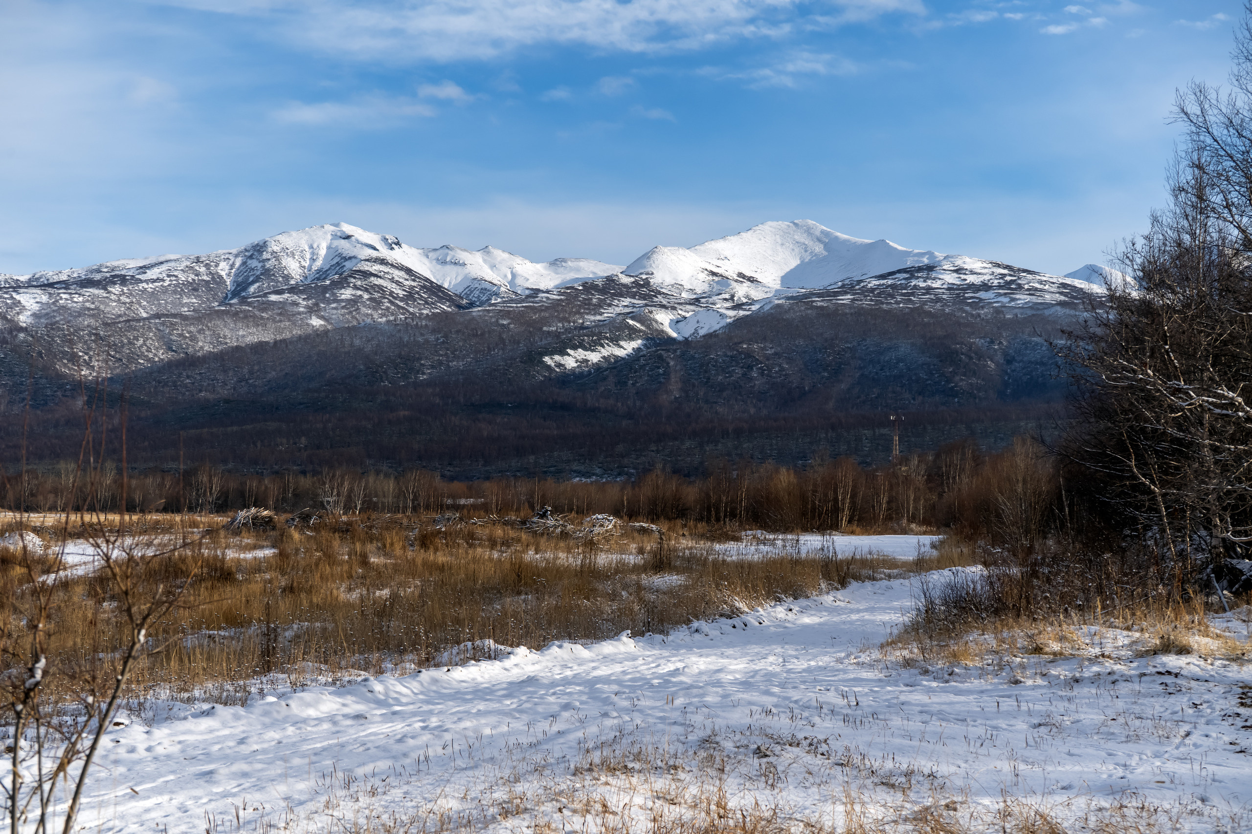 эссо фотокамчатка фото