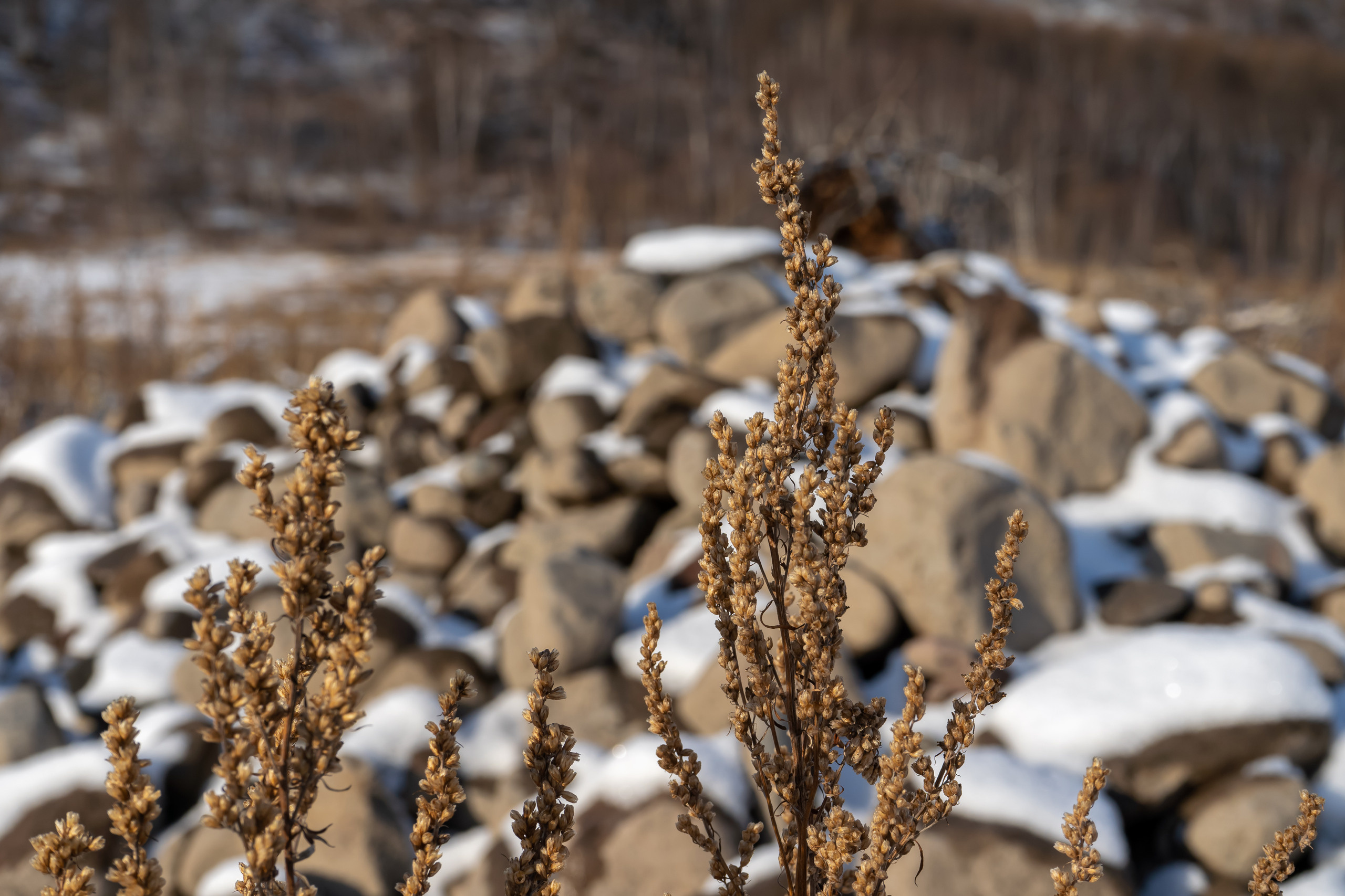 эссо фотокамчатка фото