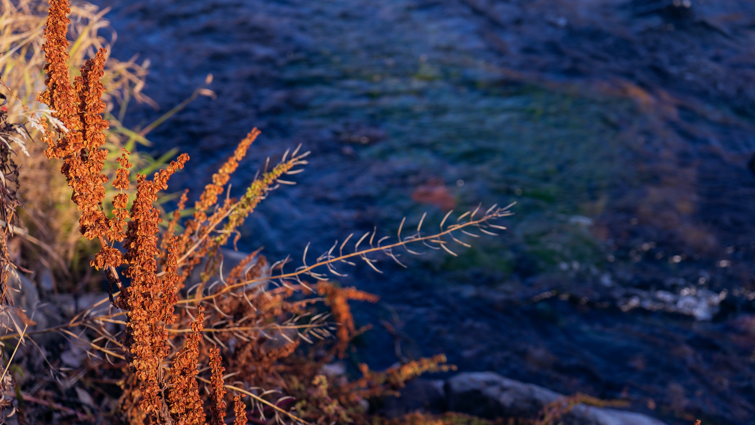 Осень. Фотограф Ворошилов Дмитрий. Эссо. Камчатка