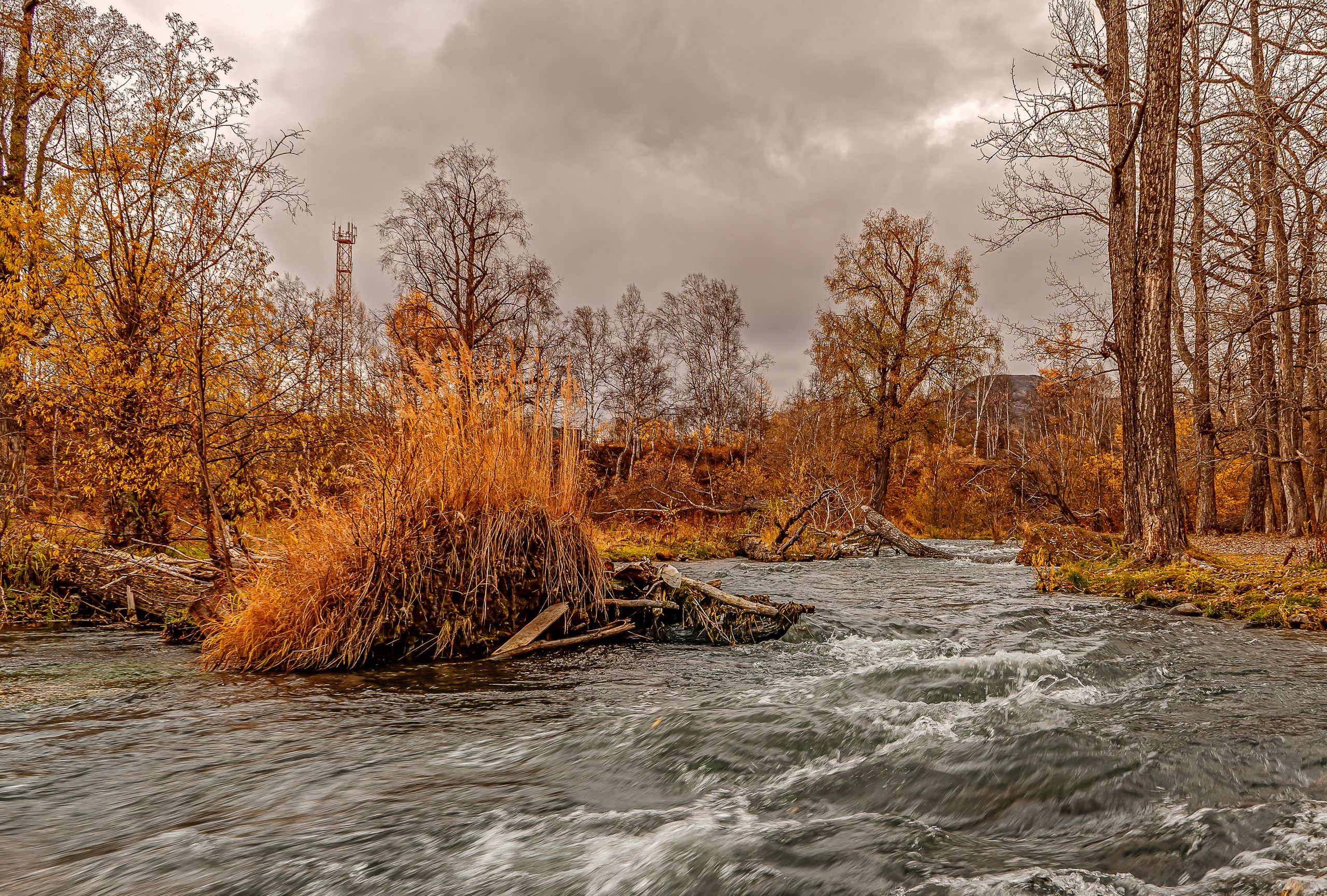 Осень. Фотограф Ворошилов Дмитрий. Эссо. Камчатка