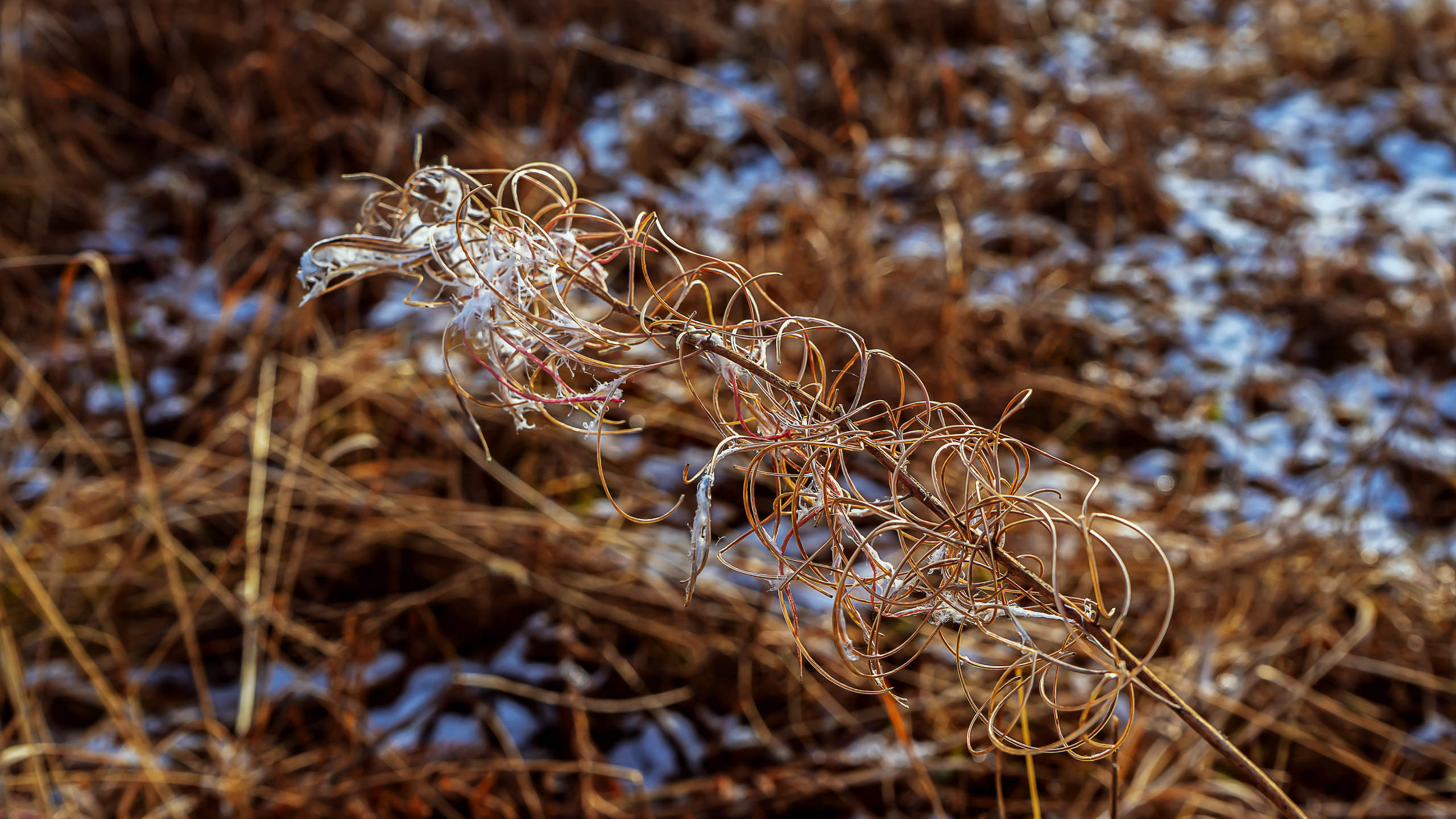 Осень. Фотограф Ворошилов Дмитрий. Эссо. Камчатка