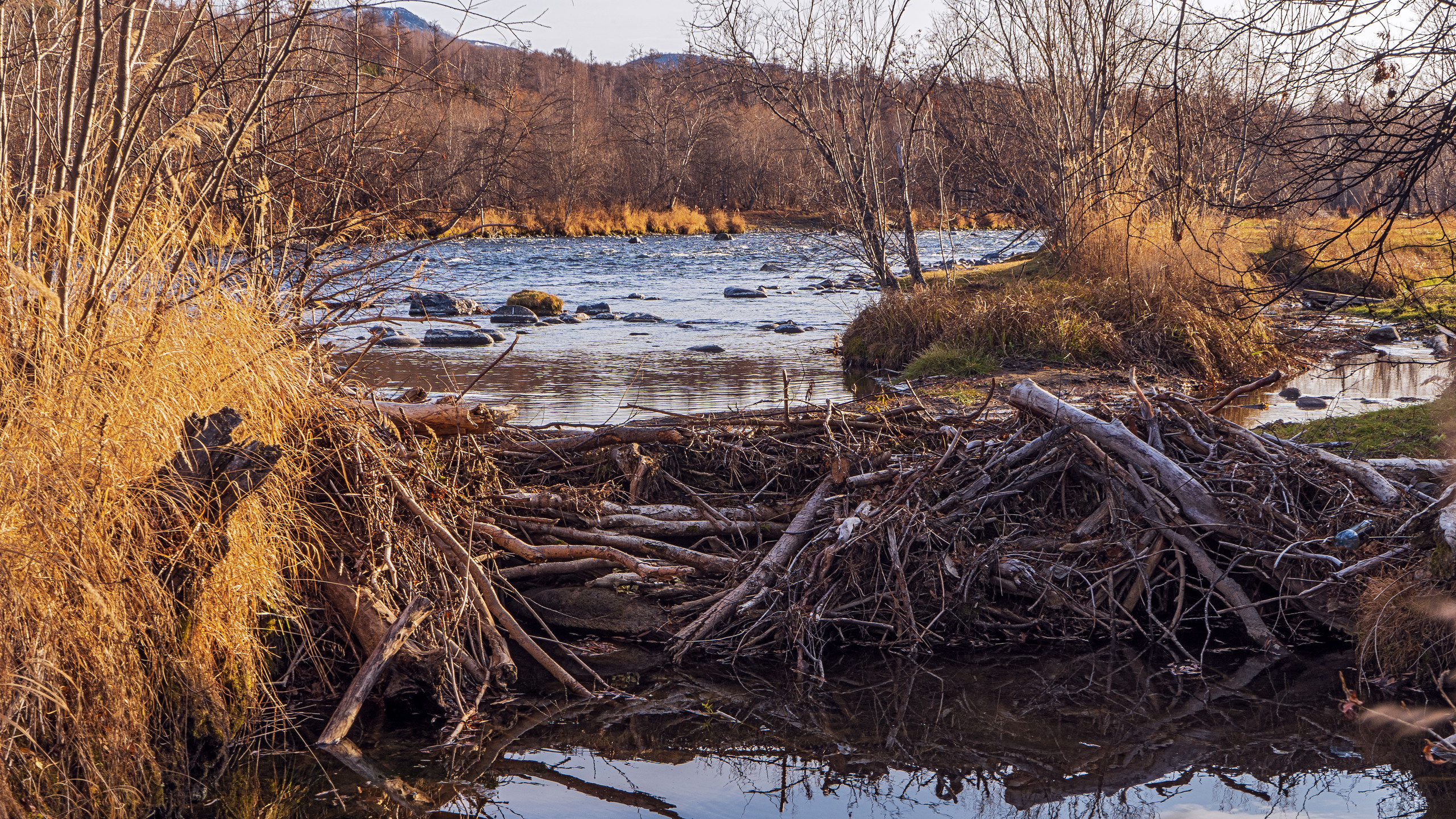 Осень. Фотограф Ворошилов Дмитрий. Эссо. Камчатка