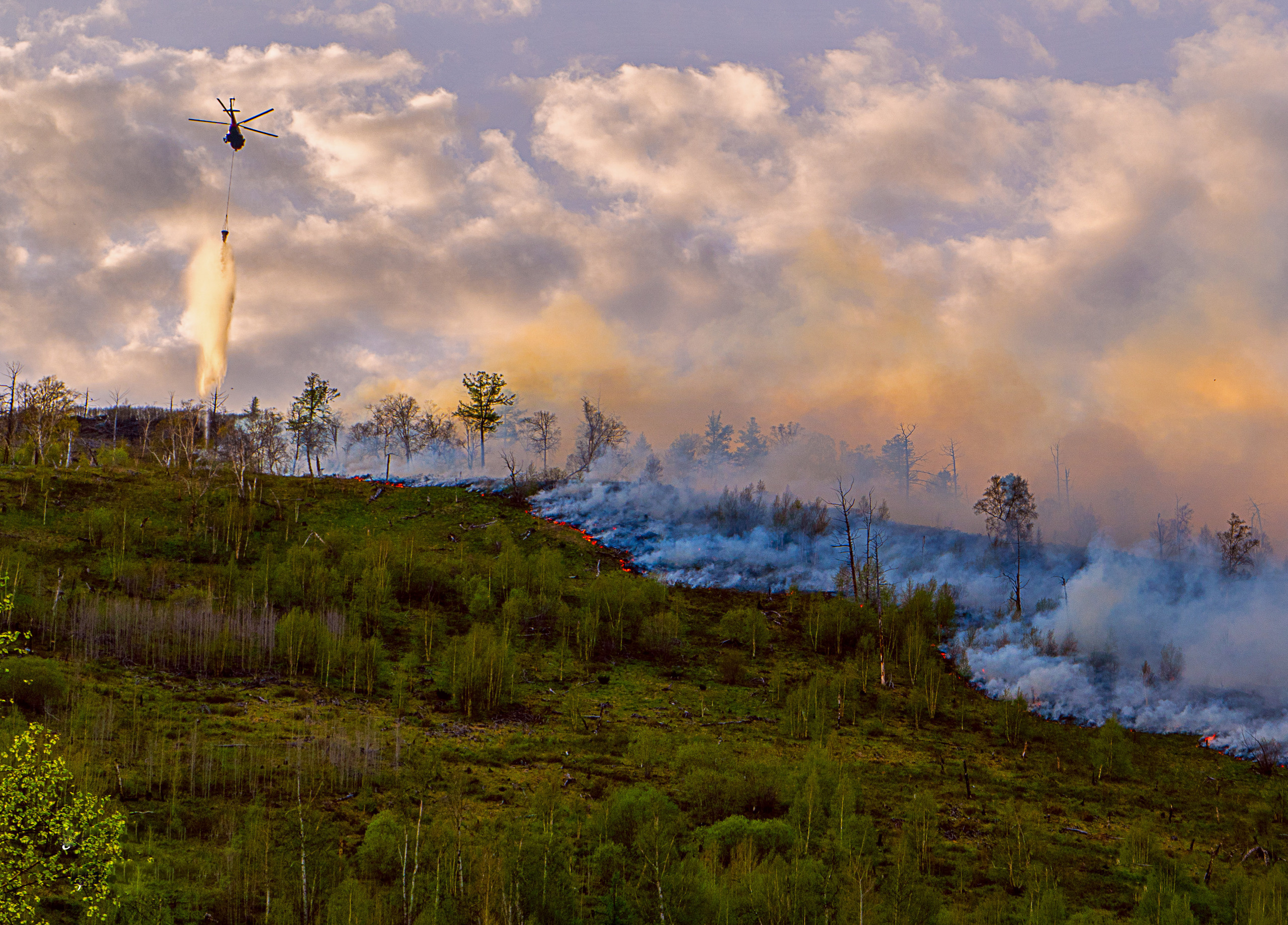 Пожар в Эссо 2020. Фотограф Ворошилов Дмитрий. Эссо. Камчатка