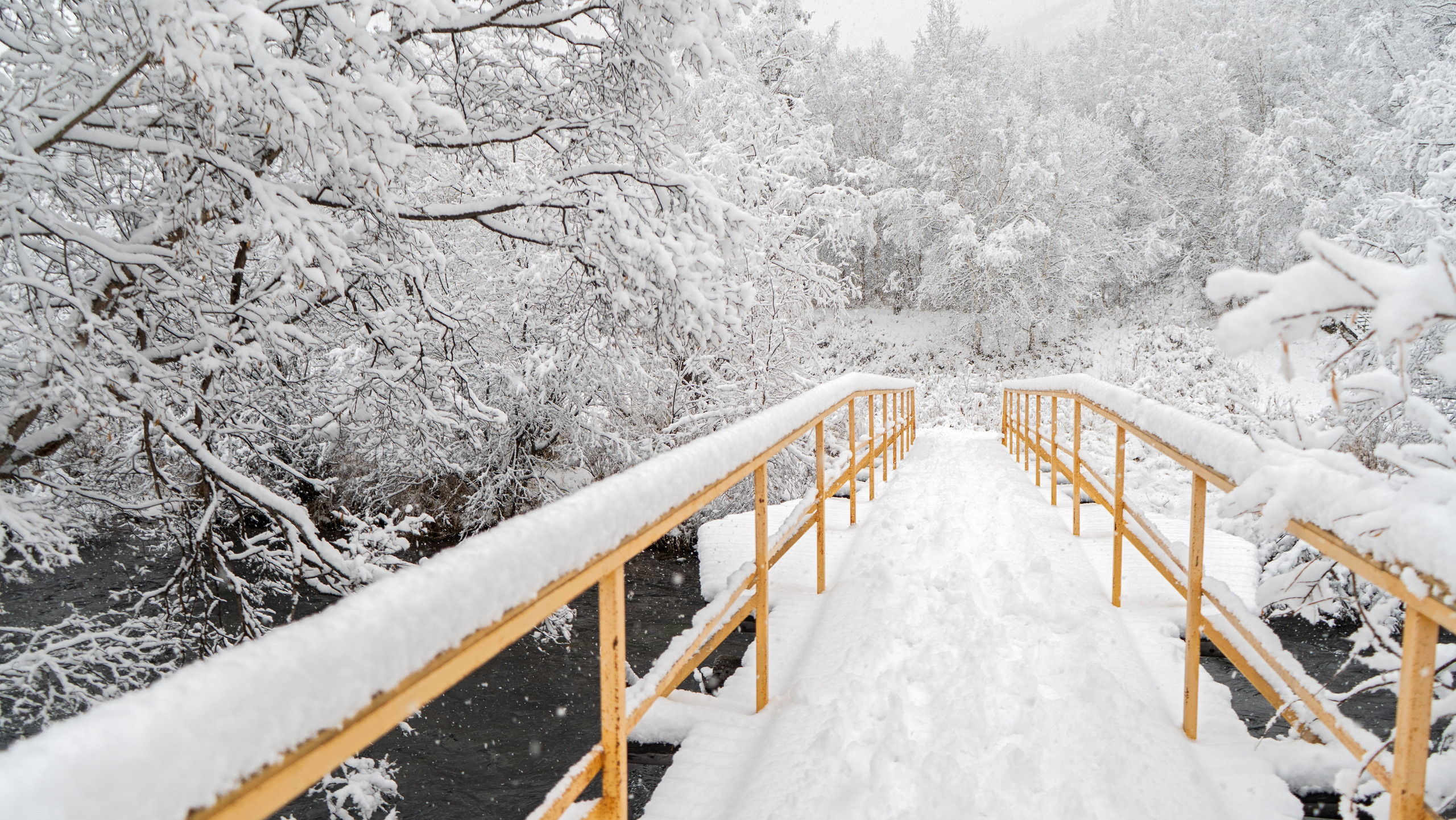 эссо фотокамчатка фото