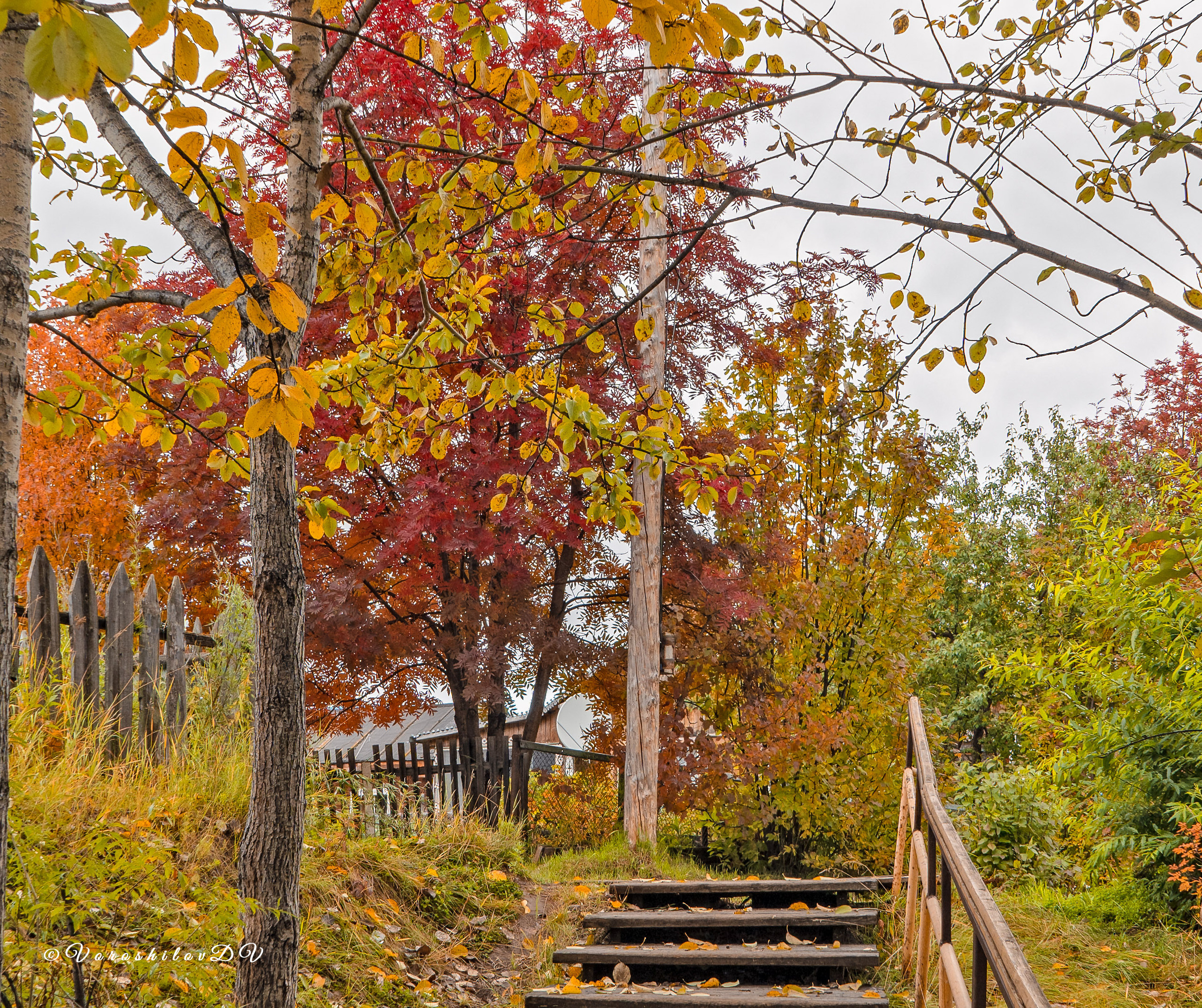 Осень. Фотограф Ворошилов Дмитрий. Эссо. Камчатка