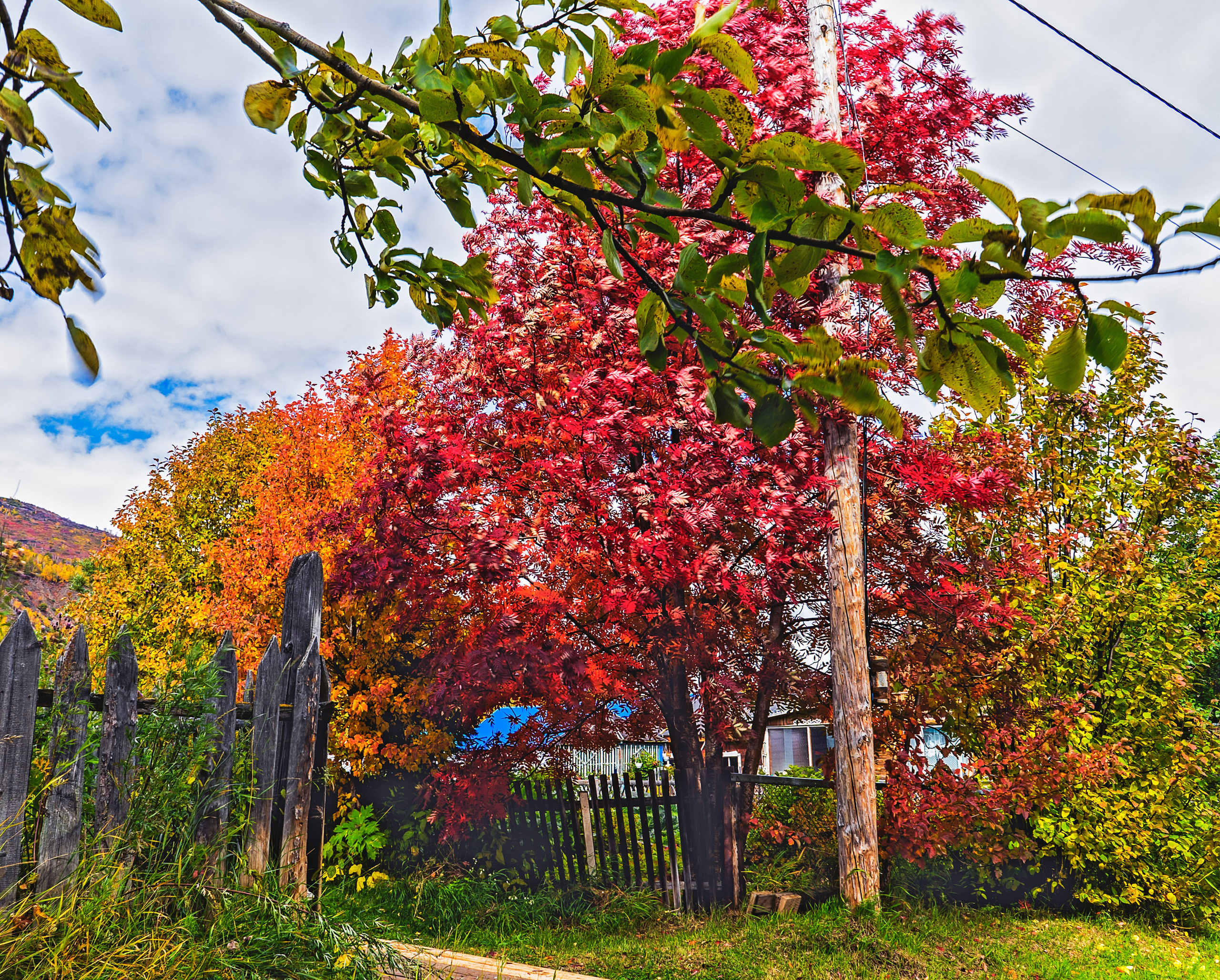 Осень. Фотограф Ворошилов Дмитрий. Эссо. Камчатка