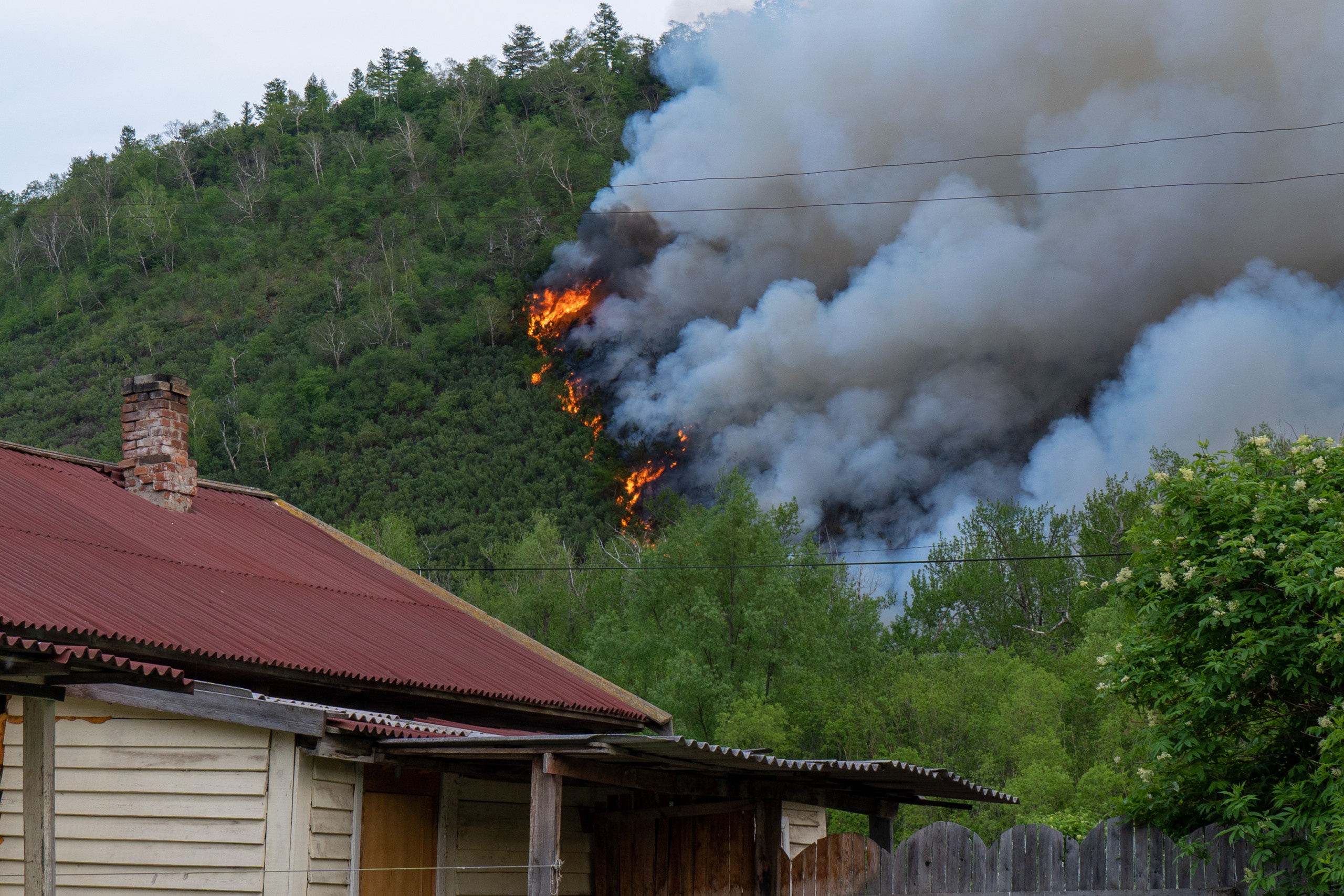 Пожар в Эссо 2020. Фотограф Ворошилов Дмитрий. Эссо. Камчатка