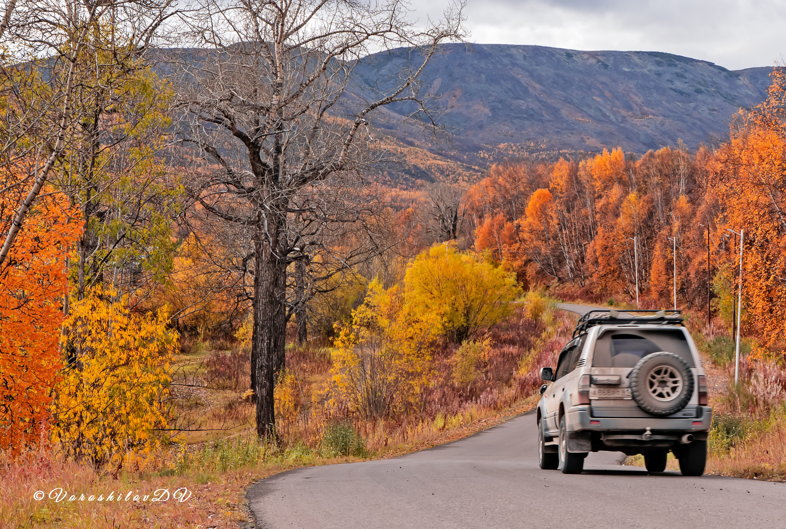 Осень. Фотограф Ворошилов Дмитрий. Эссо. Камчатка