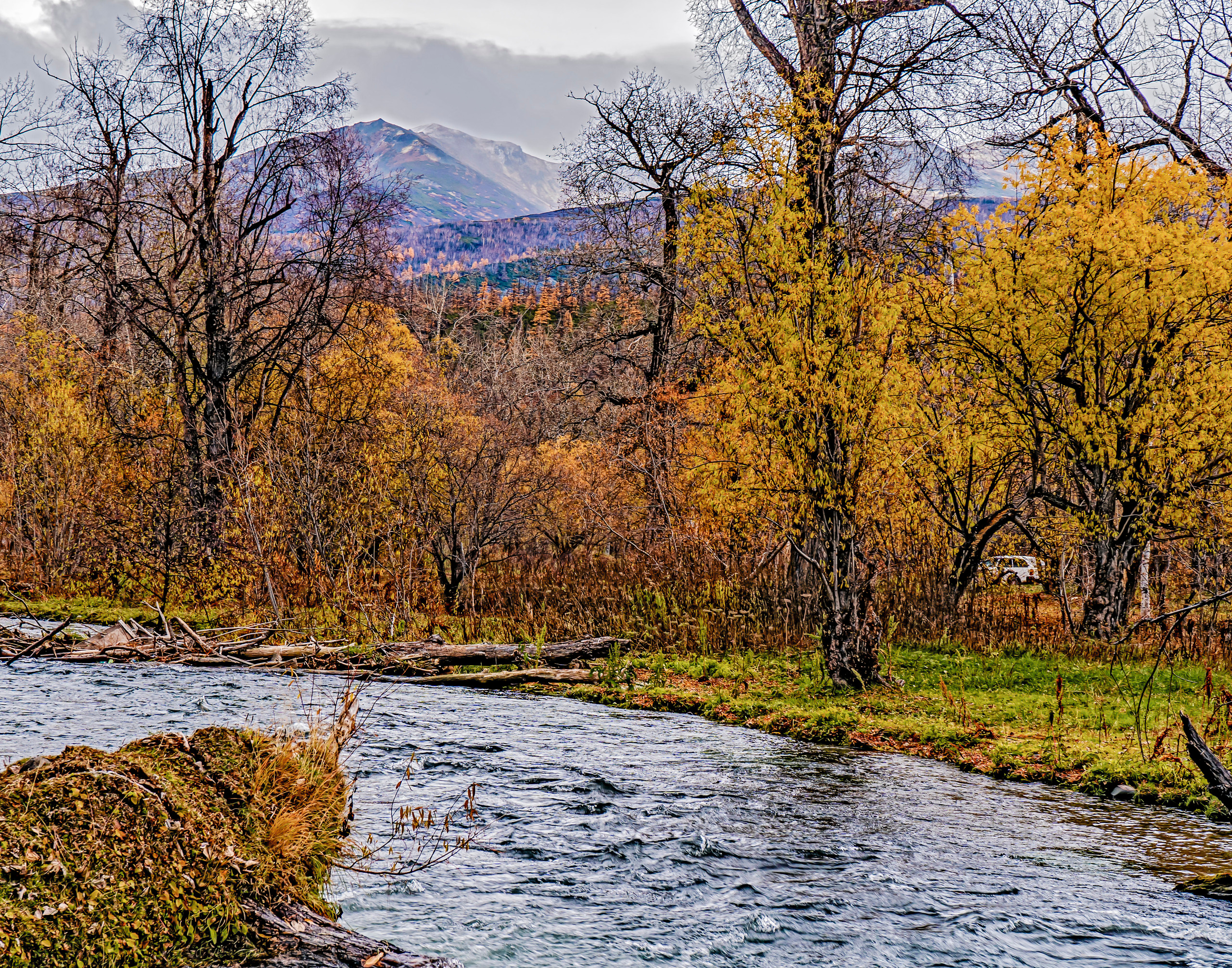 Осень. Фотограф Ворошилов Дмитрий. Эссо. Камчатка