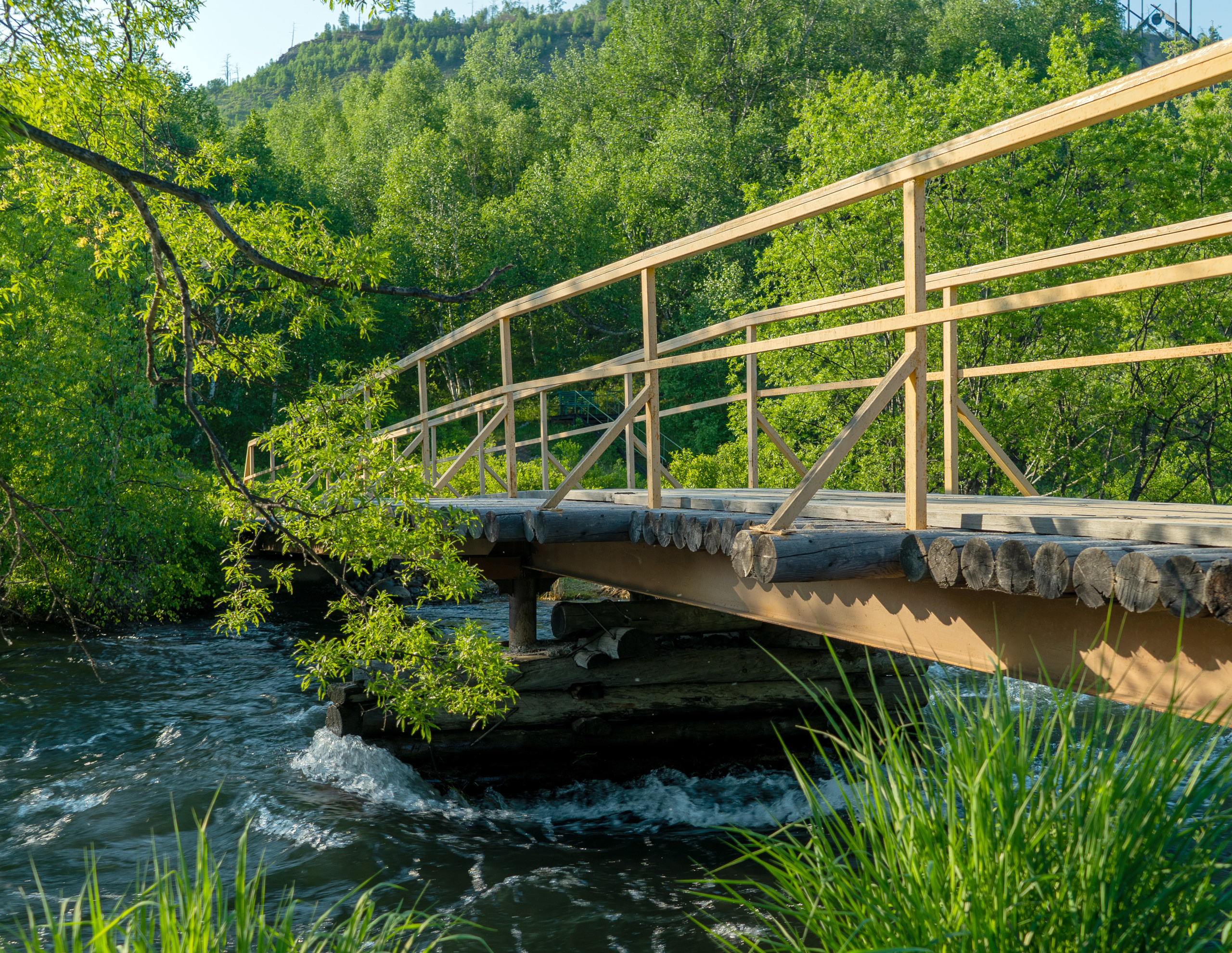 Лето. Фотограф Ворошилов Дмитрий. Эссо. Камчатка