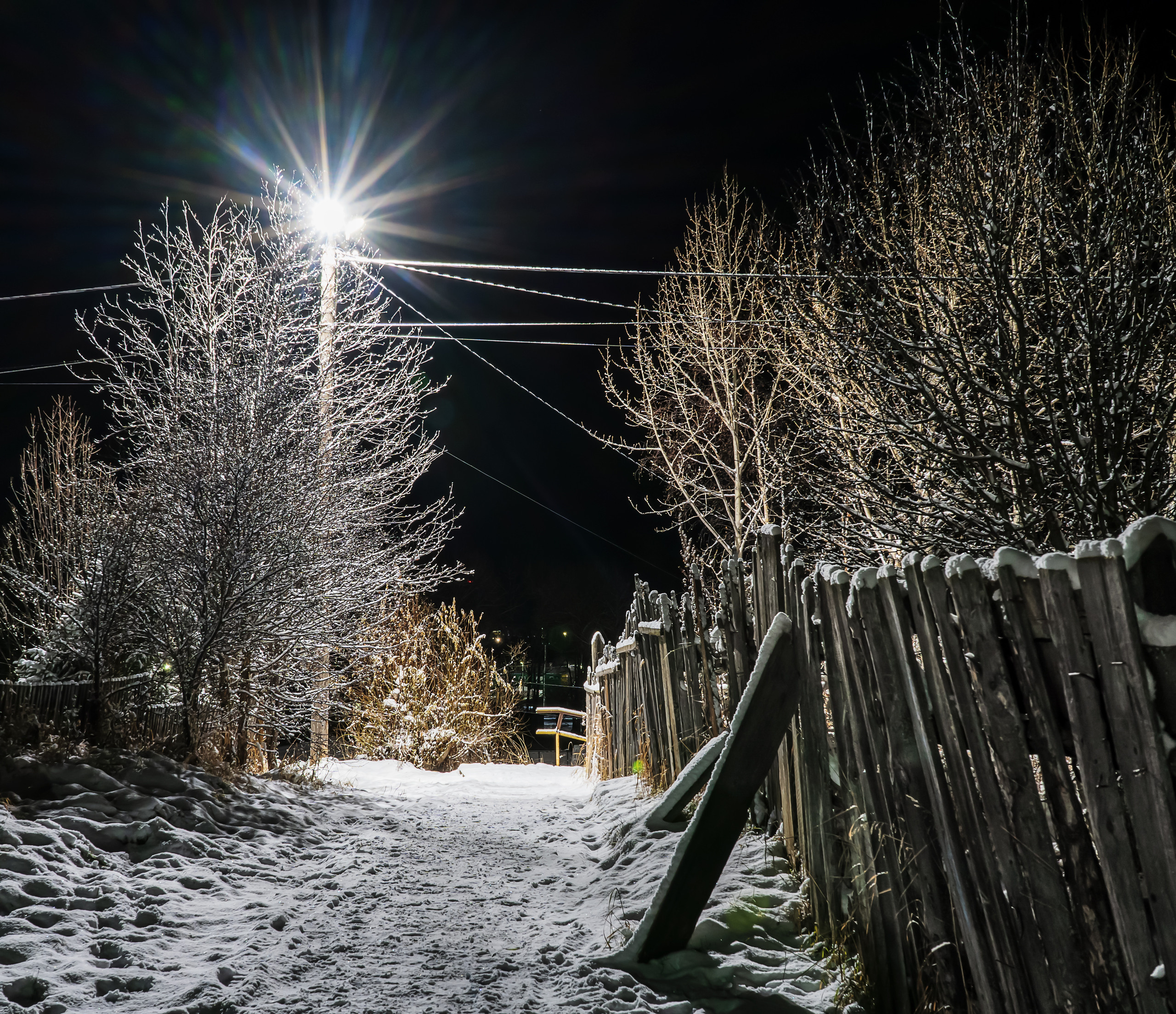 эссо фотокамчатка фото