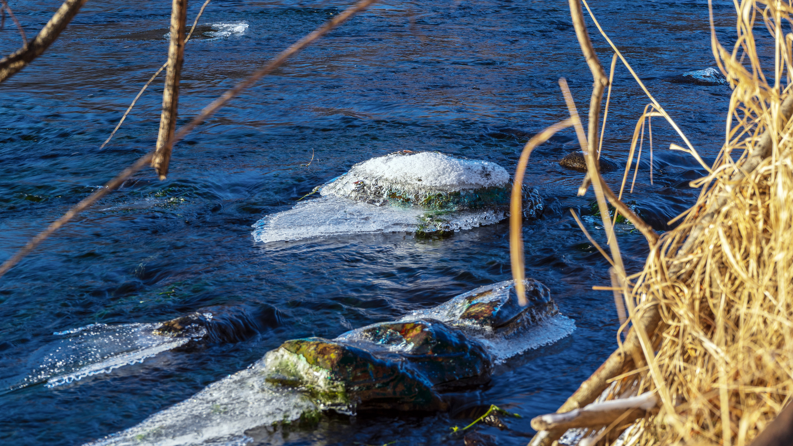 эссо фотокамчатка фото