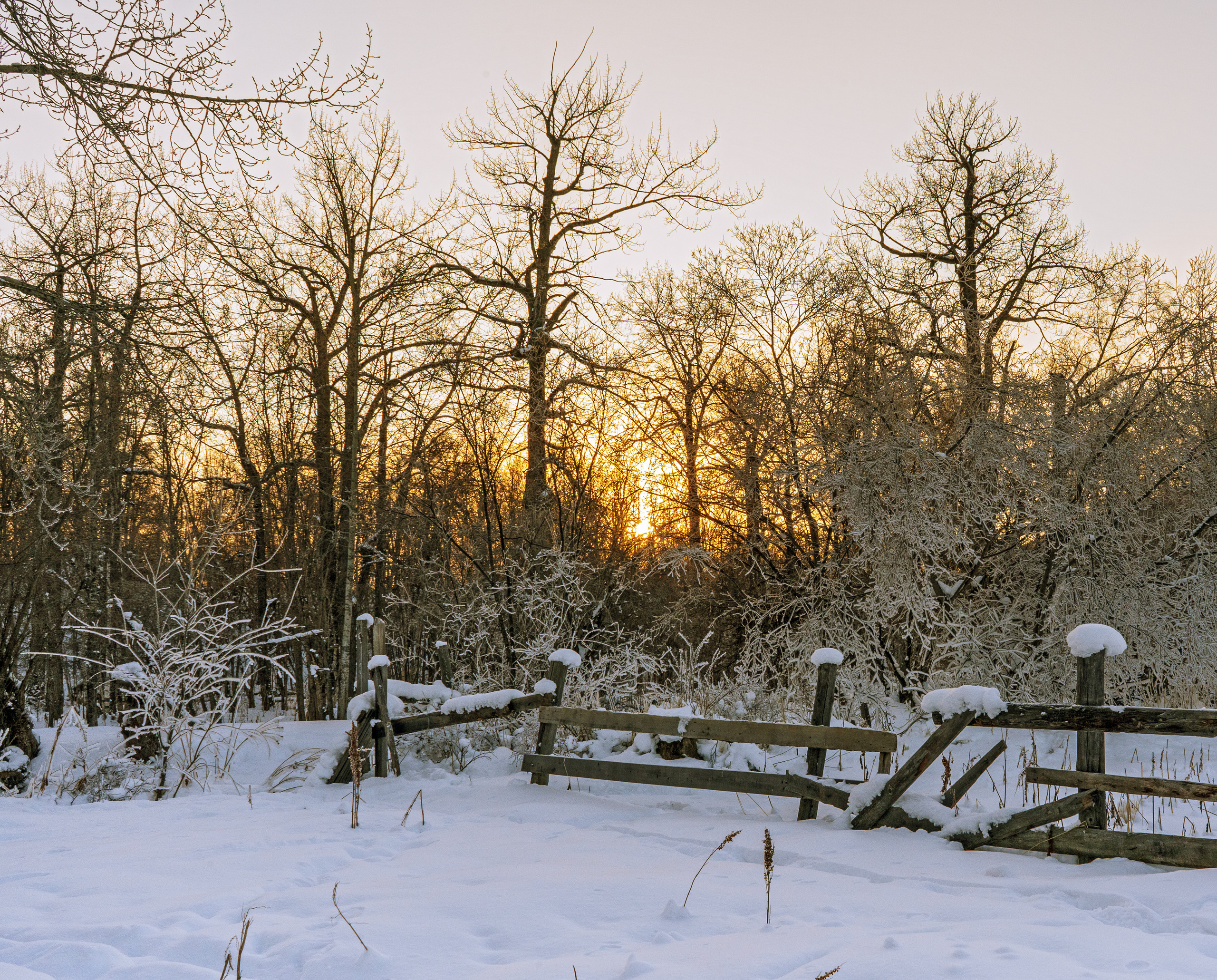 Эссо фото. Фотограф Ворошилов Дмитрий. Эссо. Камчатка