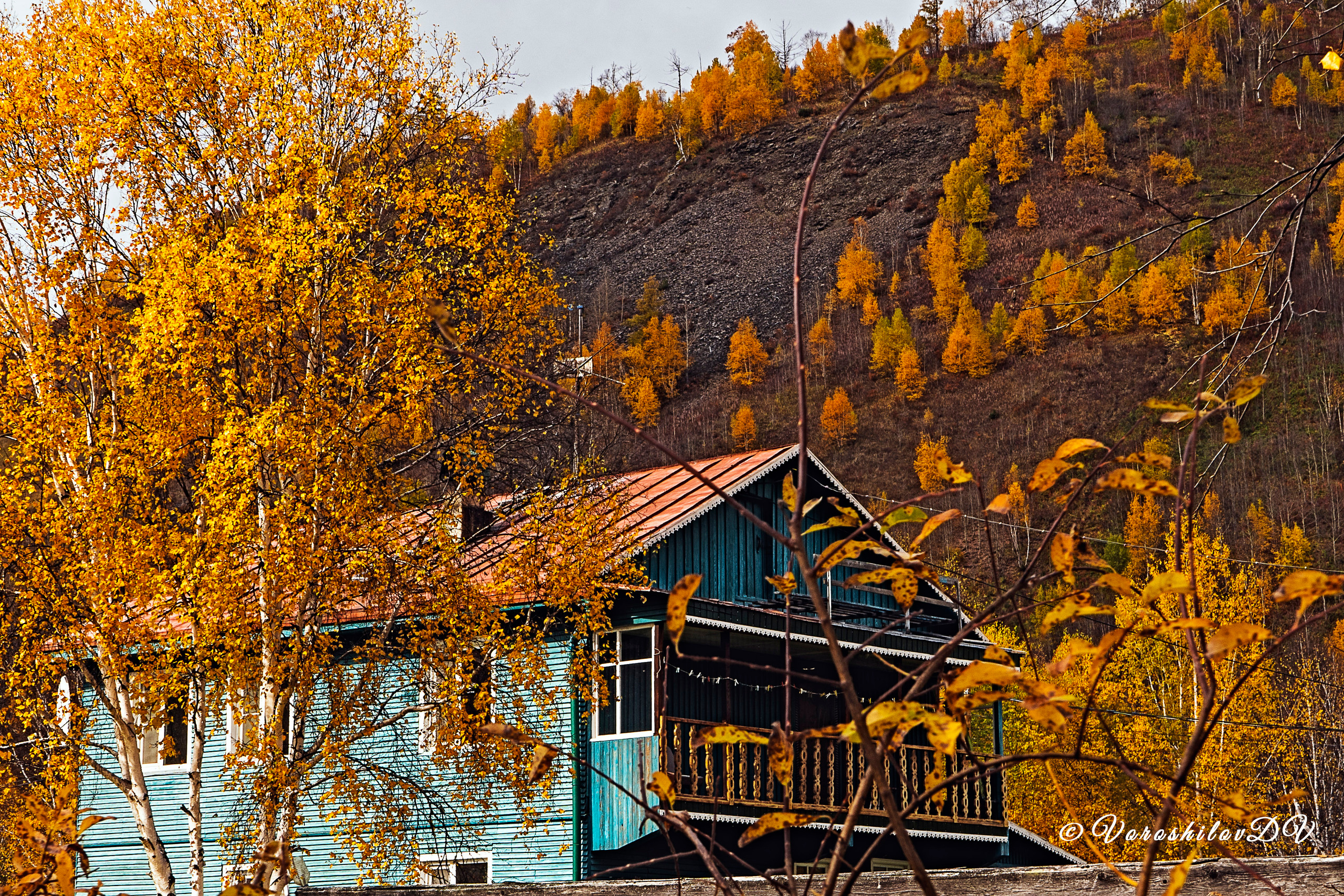 Осень. Фотограф Ворошилов Дмитрий. Эссо. Камчатка