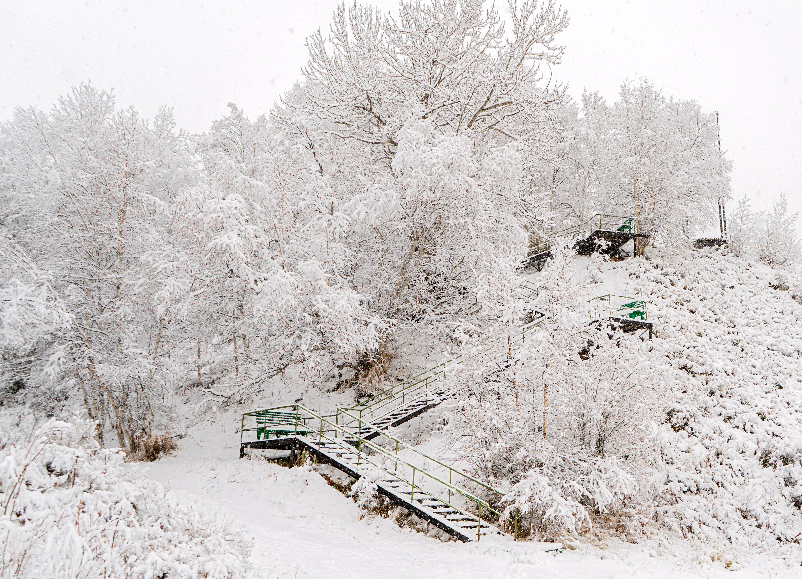 эссо фотокамчатка фото