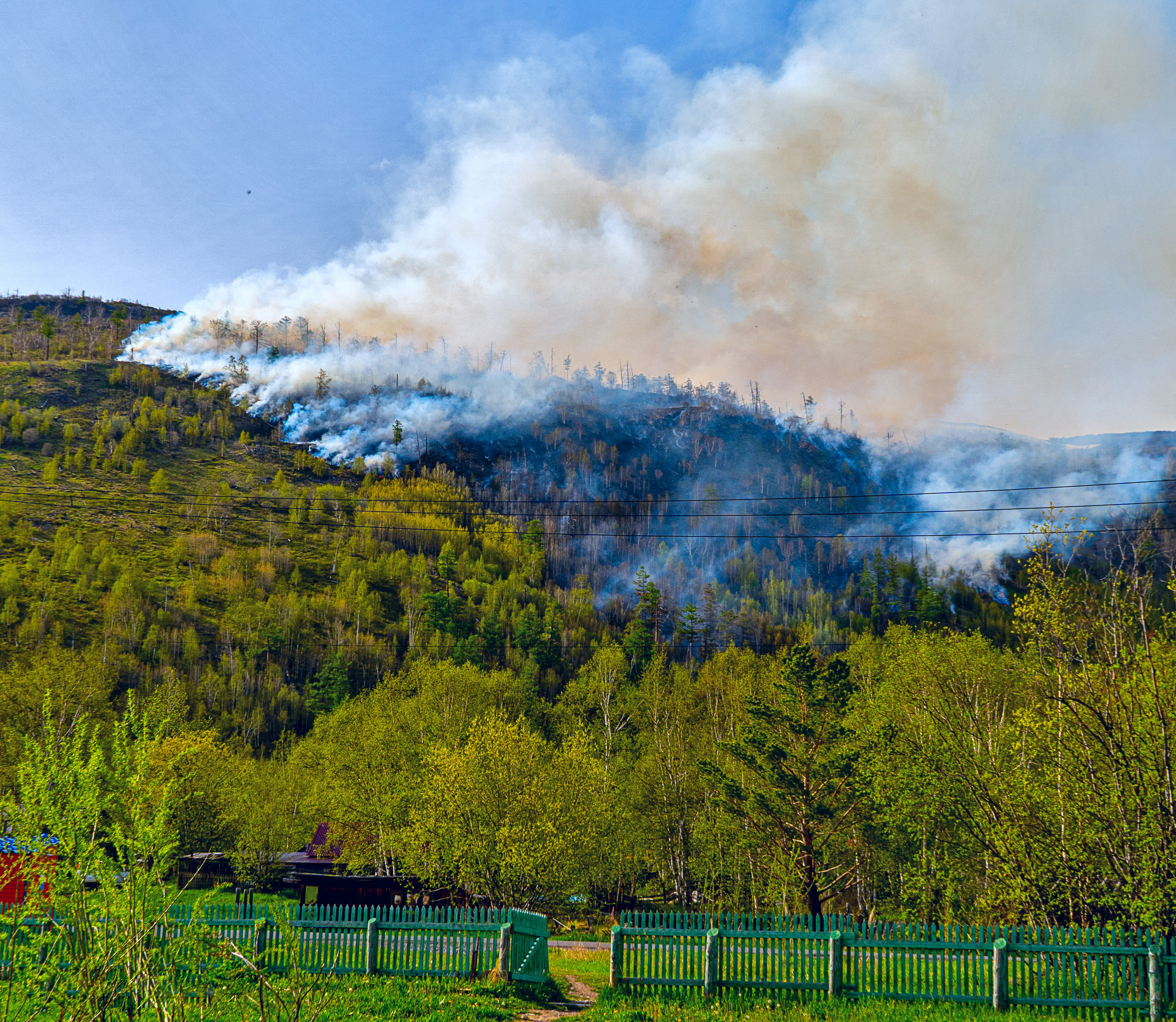 Пожар в Эссо 2020. Фотограф Ворошилов Дмитрий. Эссо. Камчатка