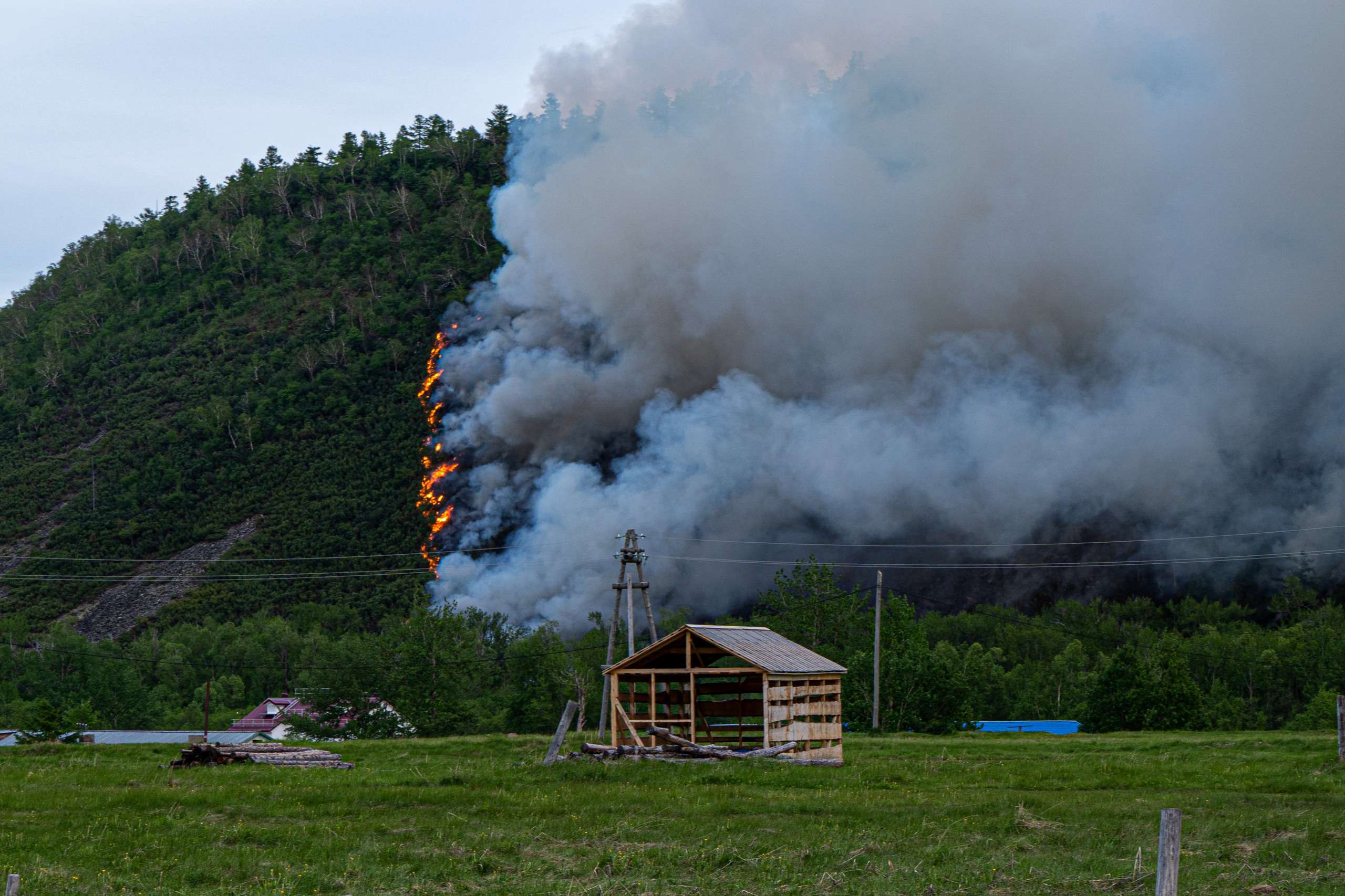 Пожар в Эссо 2020. Фотограф Ворошилов Дмитрий. Эссо. Камчатка