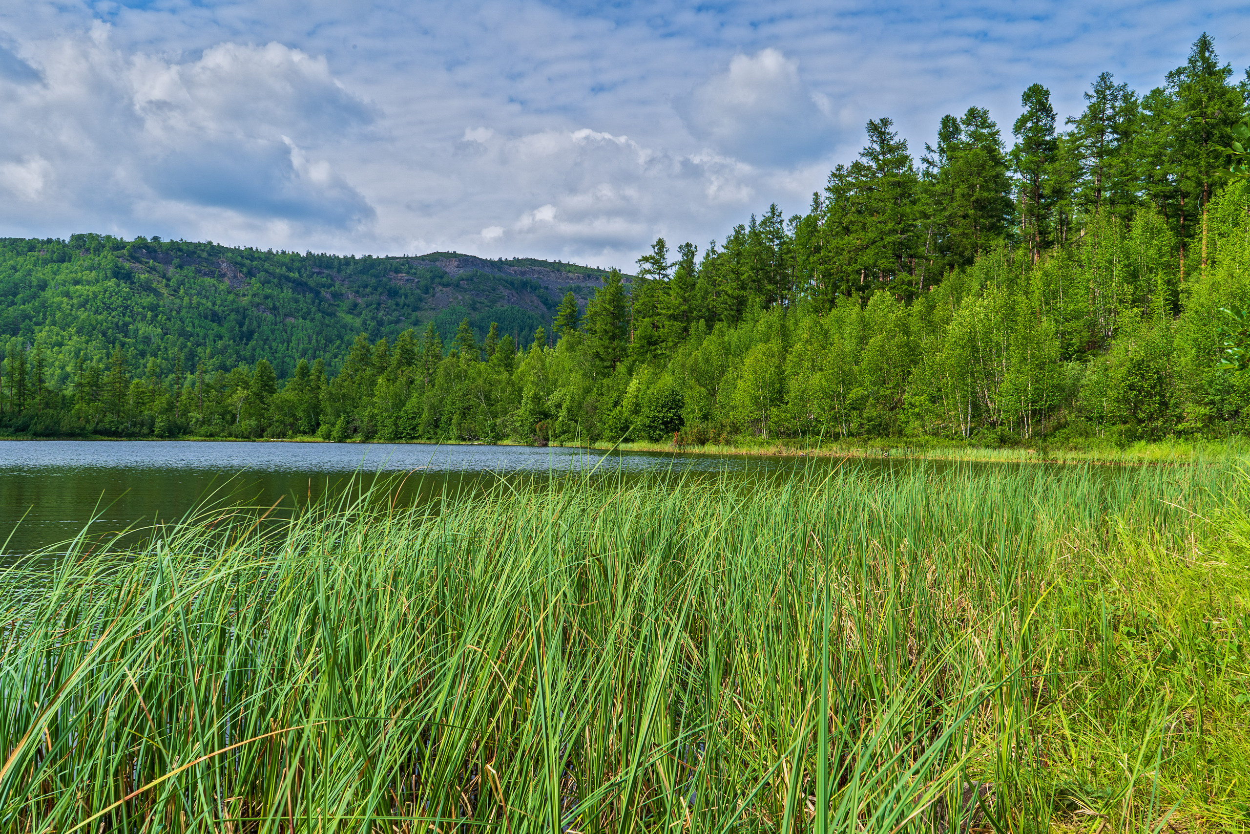 Лето. Фотограф Ворошилов Дмитрий. Эссо. Камчатка