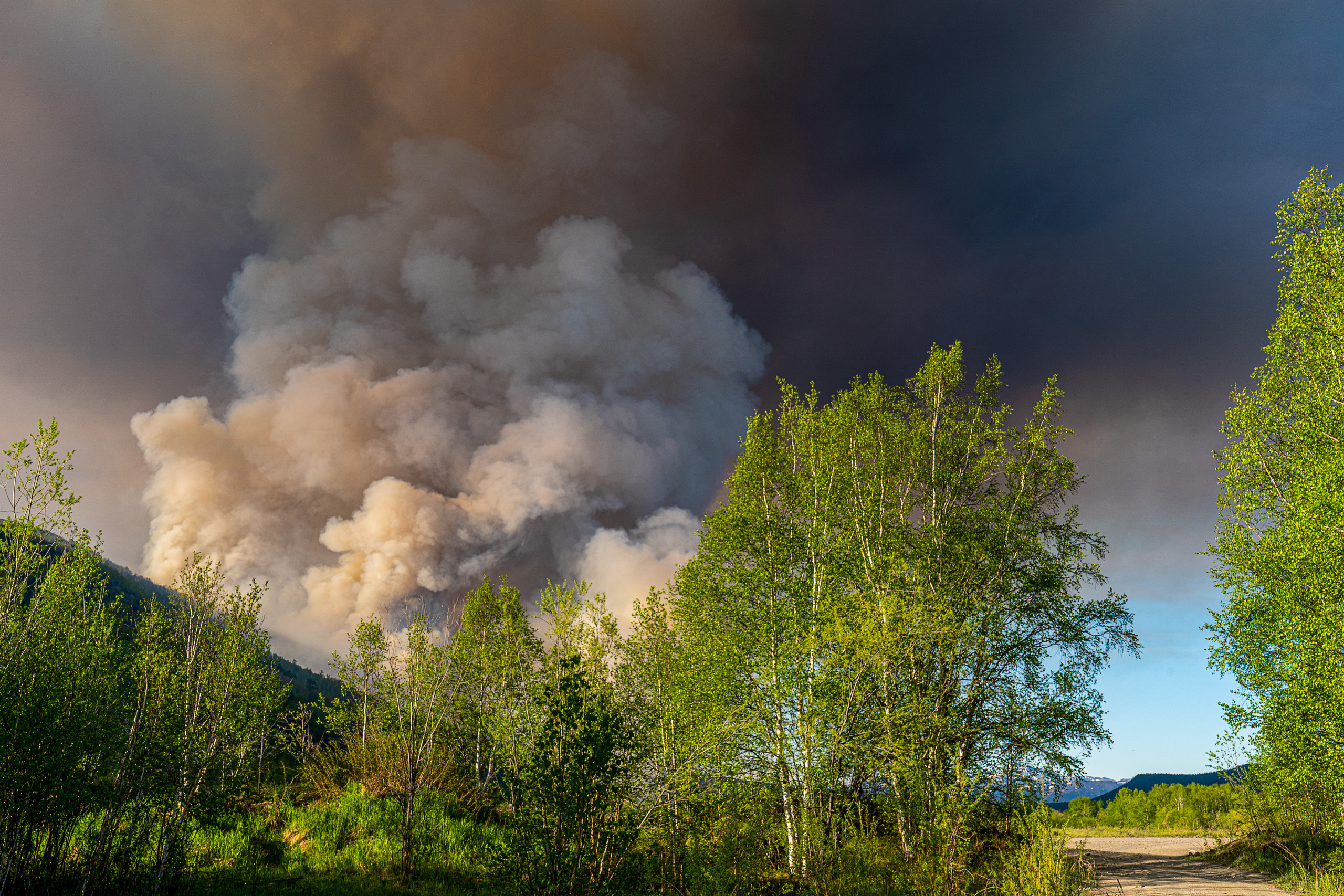 Пожар в Эссо 2020. Фотограф Ворошилов Дмитрий. Эссо. Камчатка