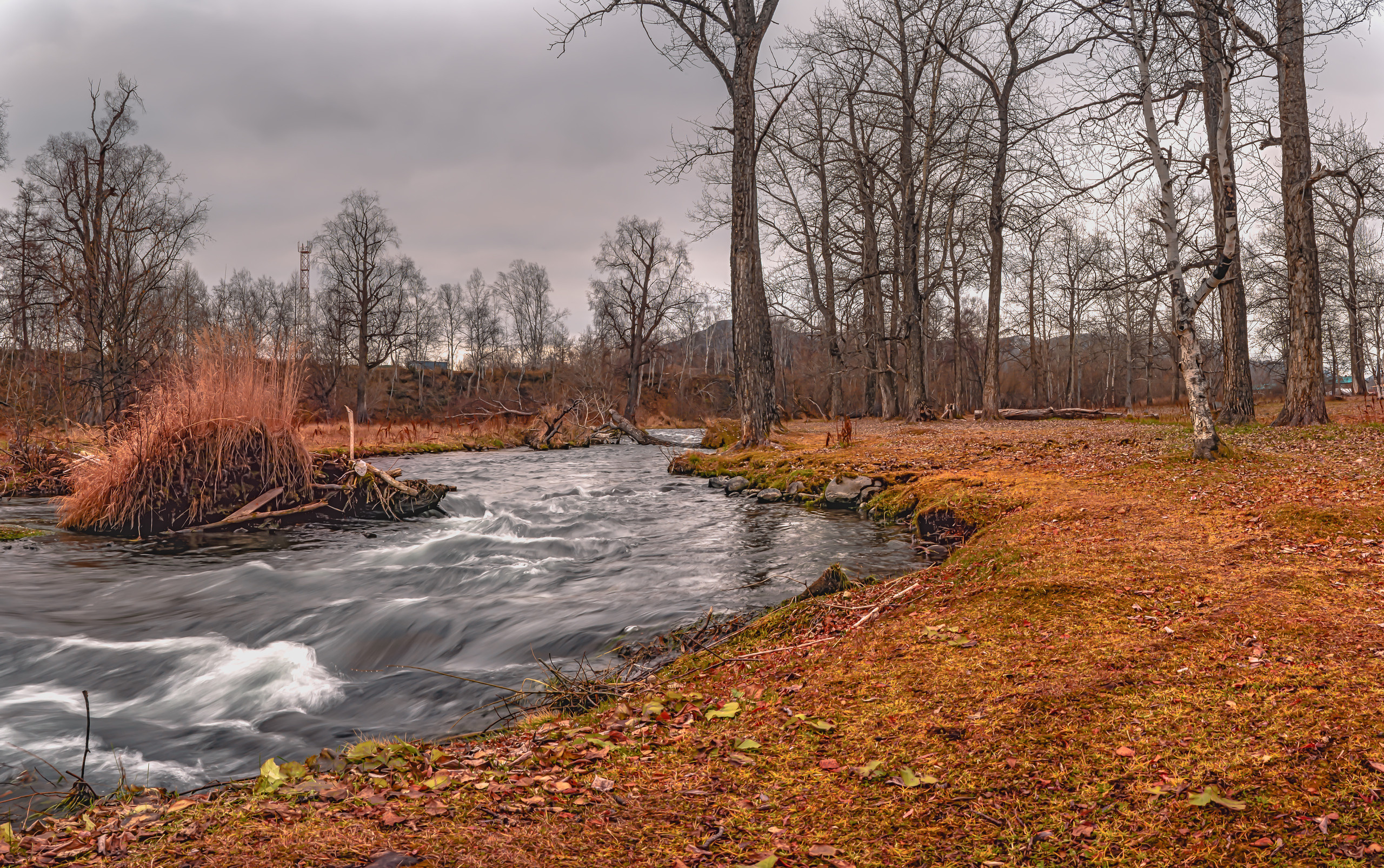 Осень. Фотограф Ворошилов Дмитрий. Эссо. Камчатка