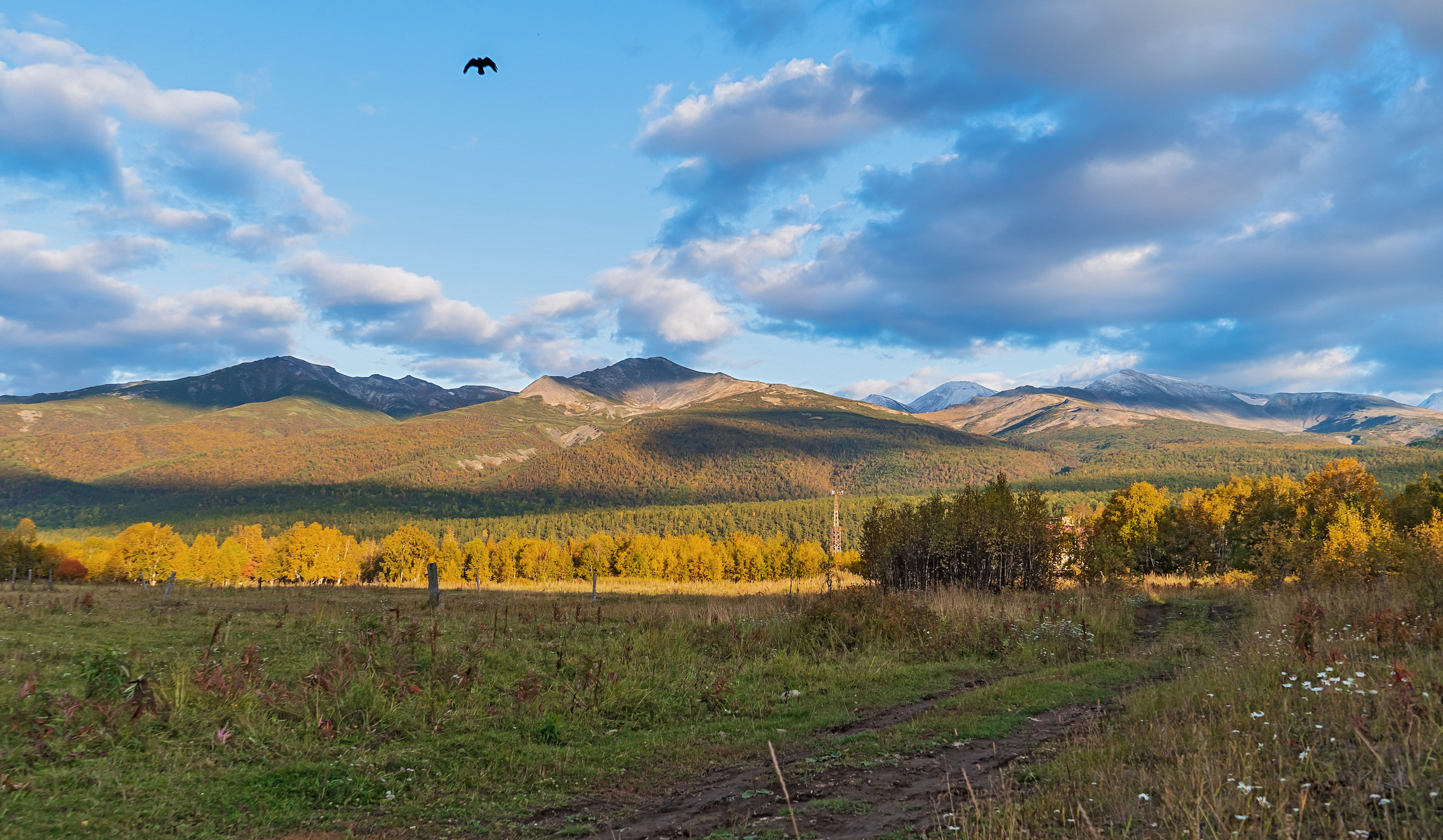 Осень. Фотограф Ворошилов Дмитрий. Эссо. Камчатка