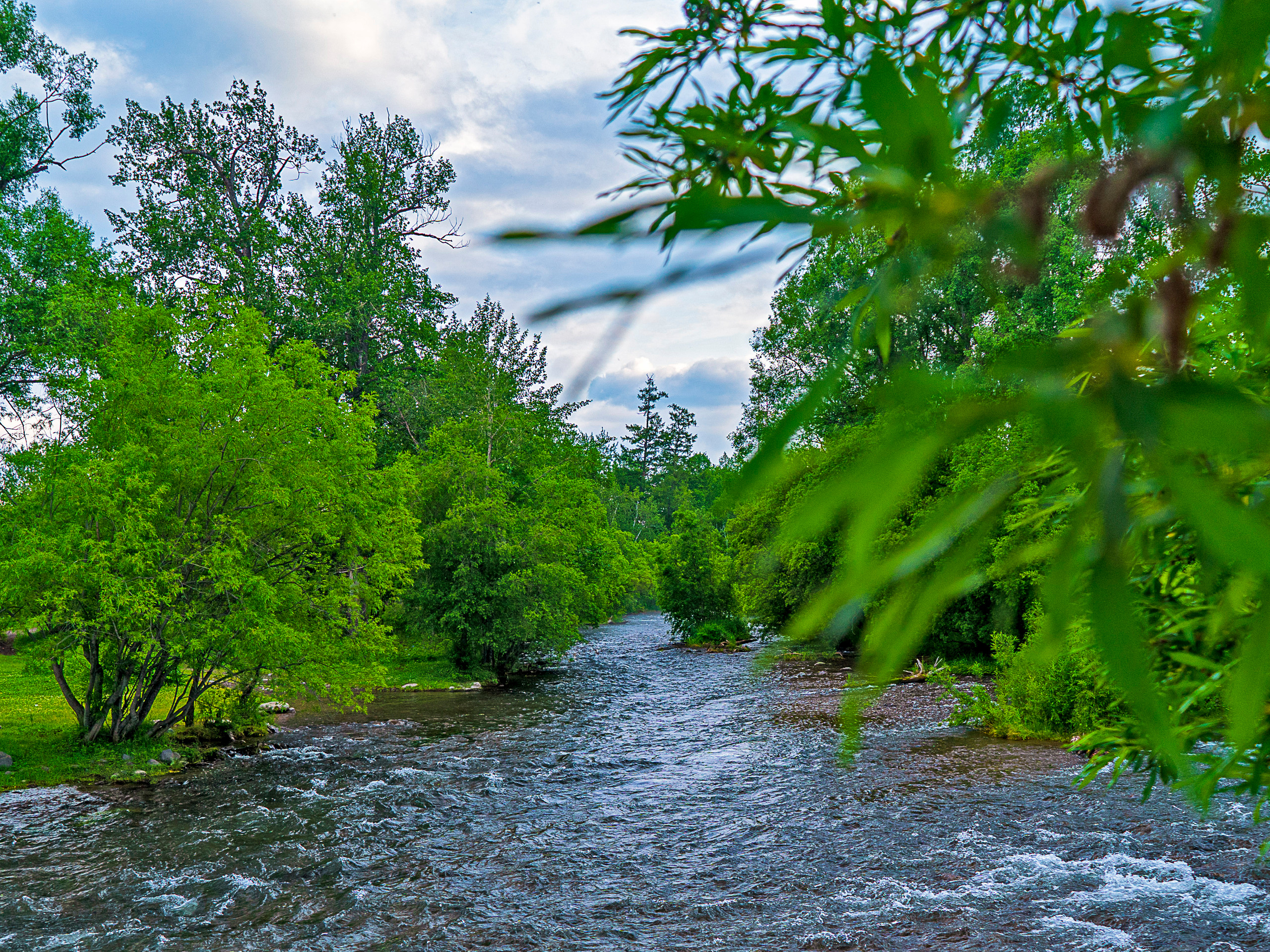 Лето. Фотограф Ворошилов Дмитрий. Эссо. Камчатка