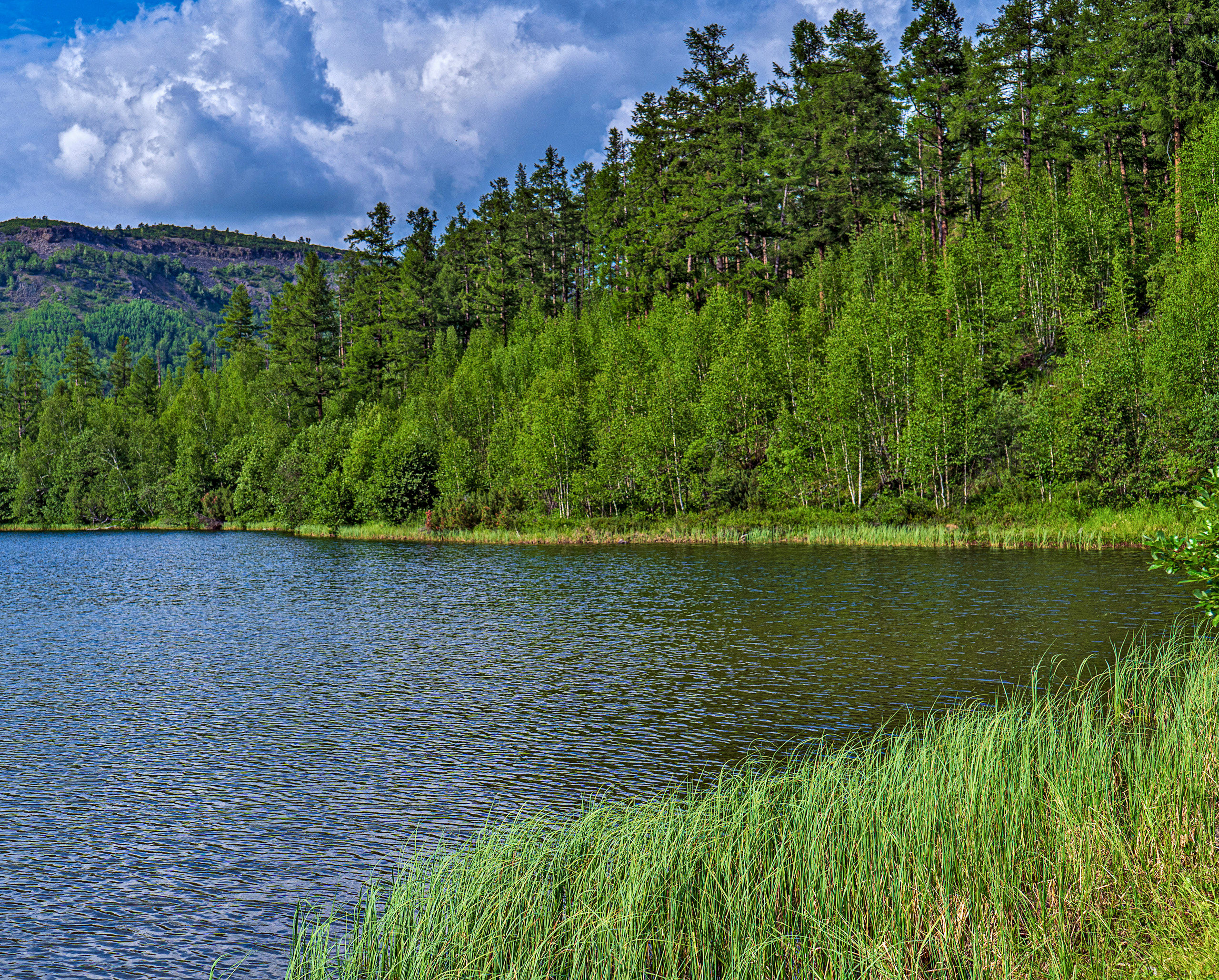 Лето. Фотограф Ворошилов Дмитрий. Эссо. Камчатка