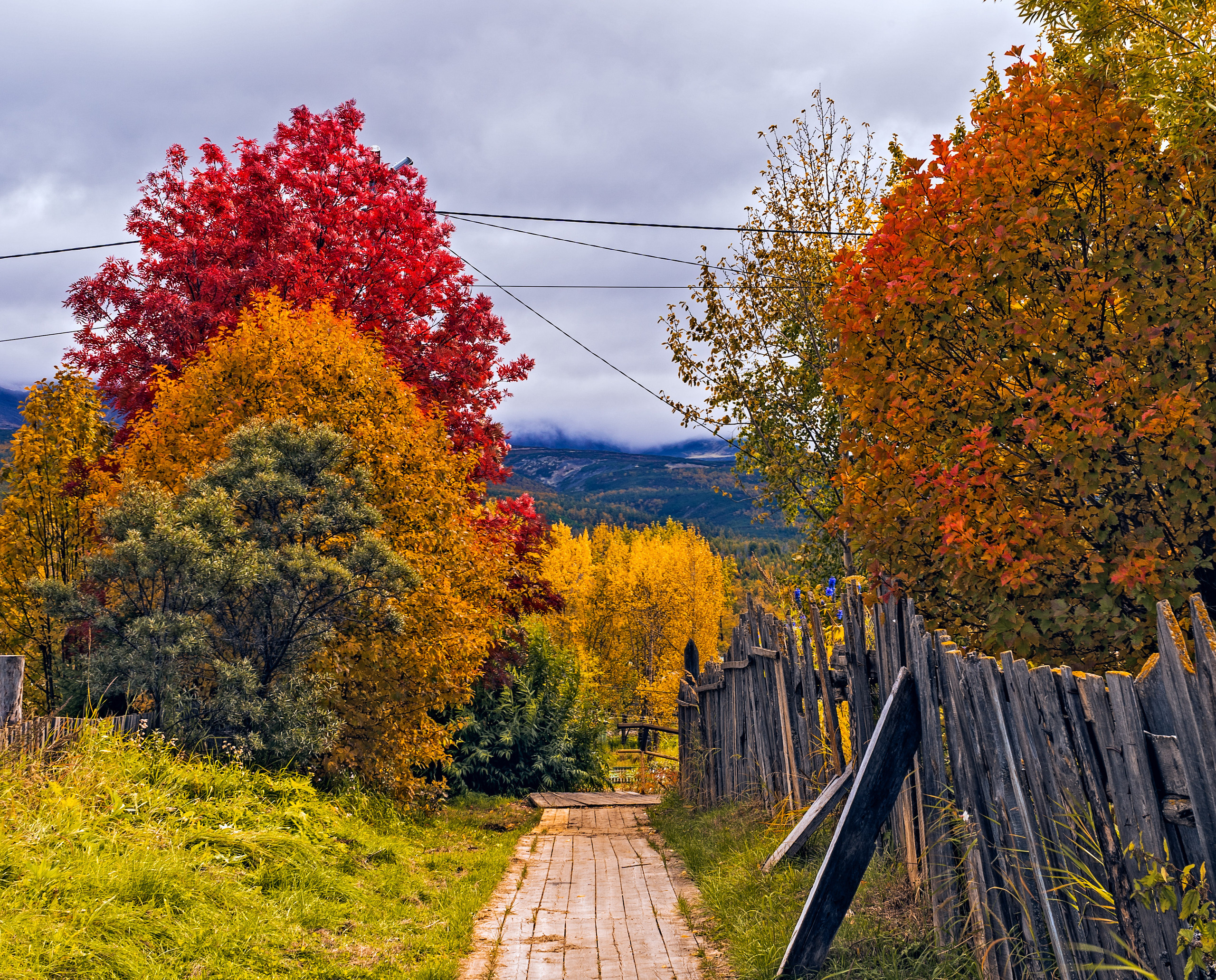 Осень. Фотограф Ворошилов Дмитрий. Эссо. Камчатка