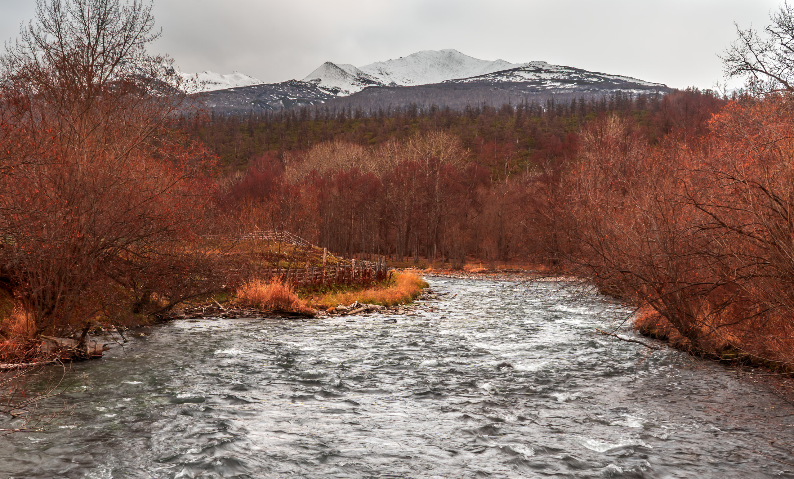 Осень. Фотограф Ворошилов Дмитрий. Эссо. Камчатка