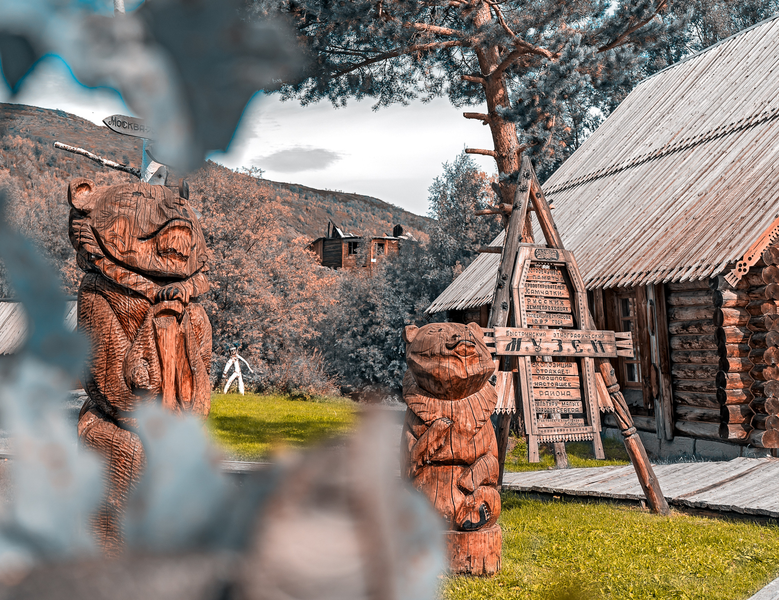 Лето. Фотограф Ворошилов Дмитрий. Эссо. Камчатка