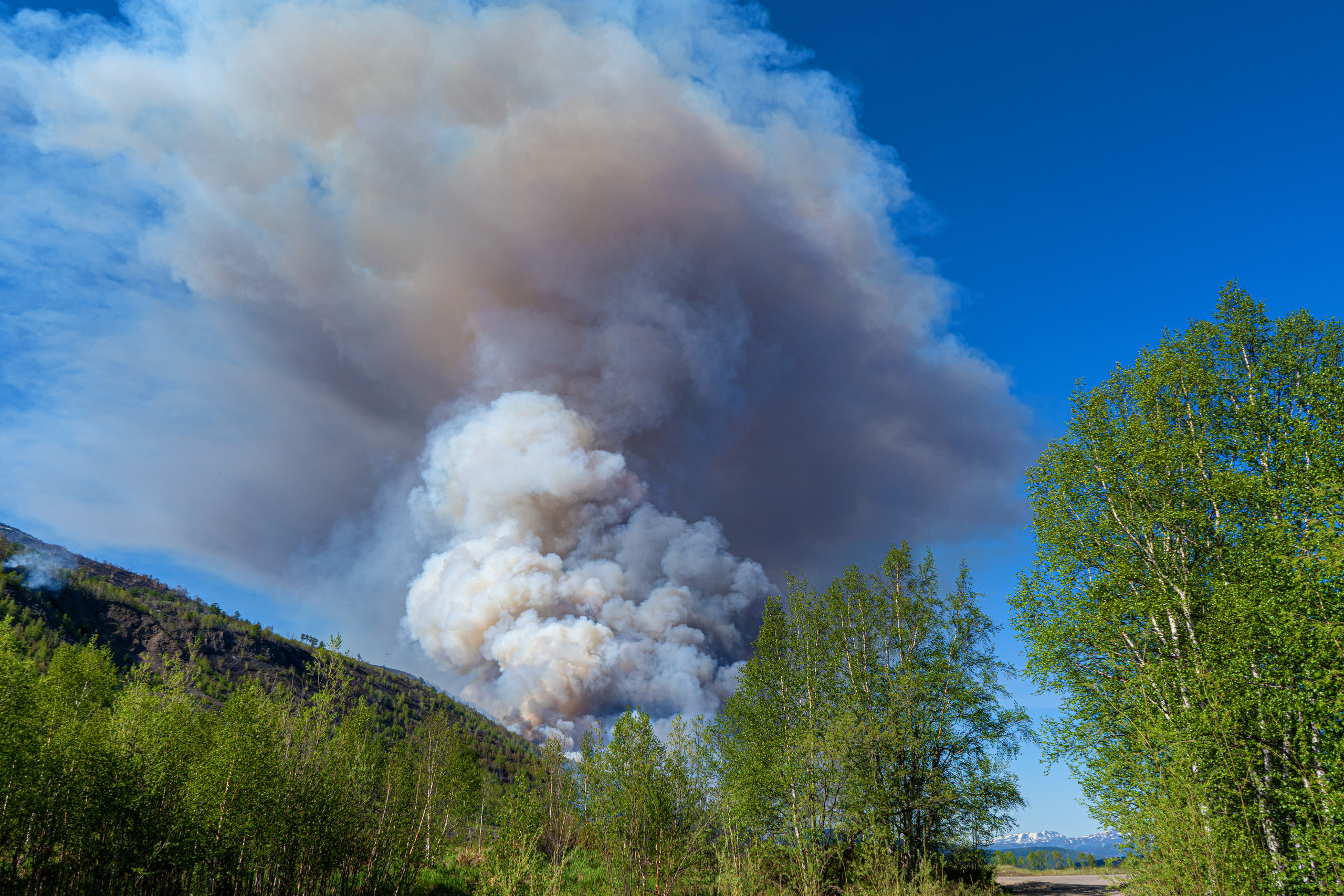Пожар в Эссо 2020. Фотограф Ворошилов Дмитрий. Эссо. Камчатка