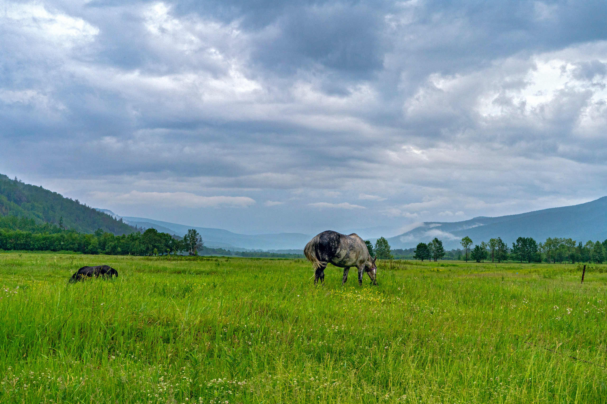 Лето. Фотограф Ворошилов Дмитрий. Эссо. Камчатка