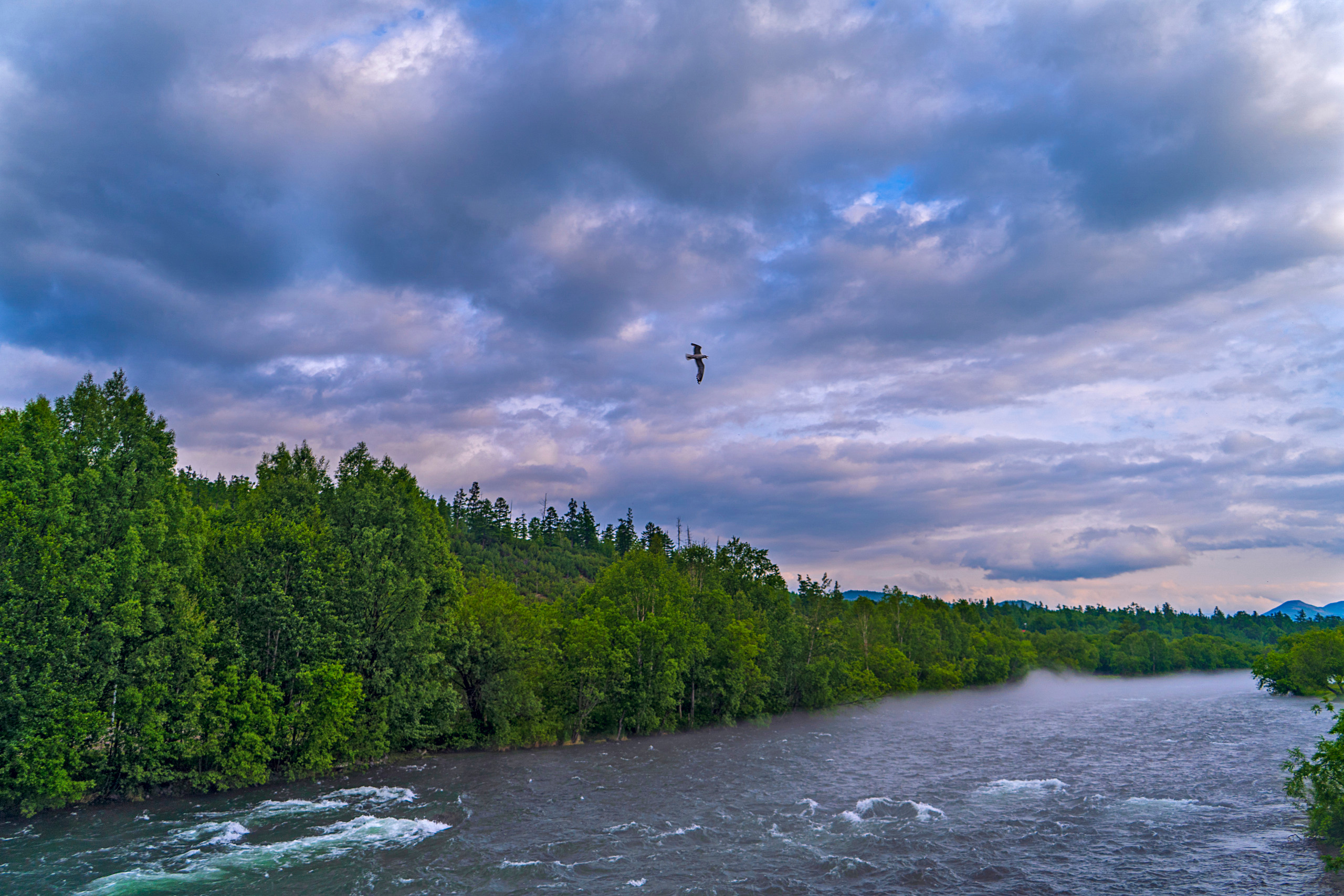 Лето. Фотограф Ворошилов Дмитрий. Эссо. Камчатка