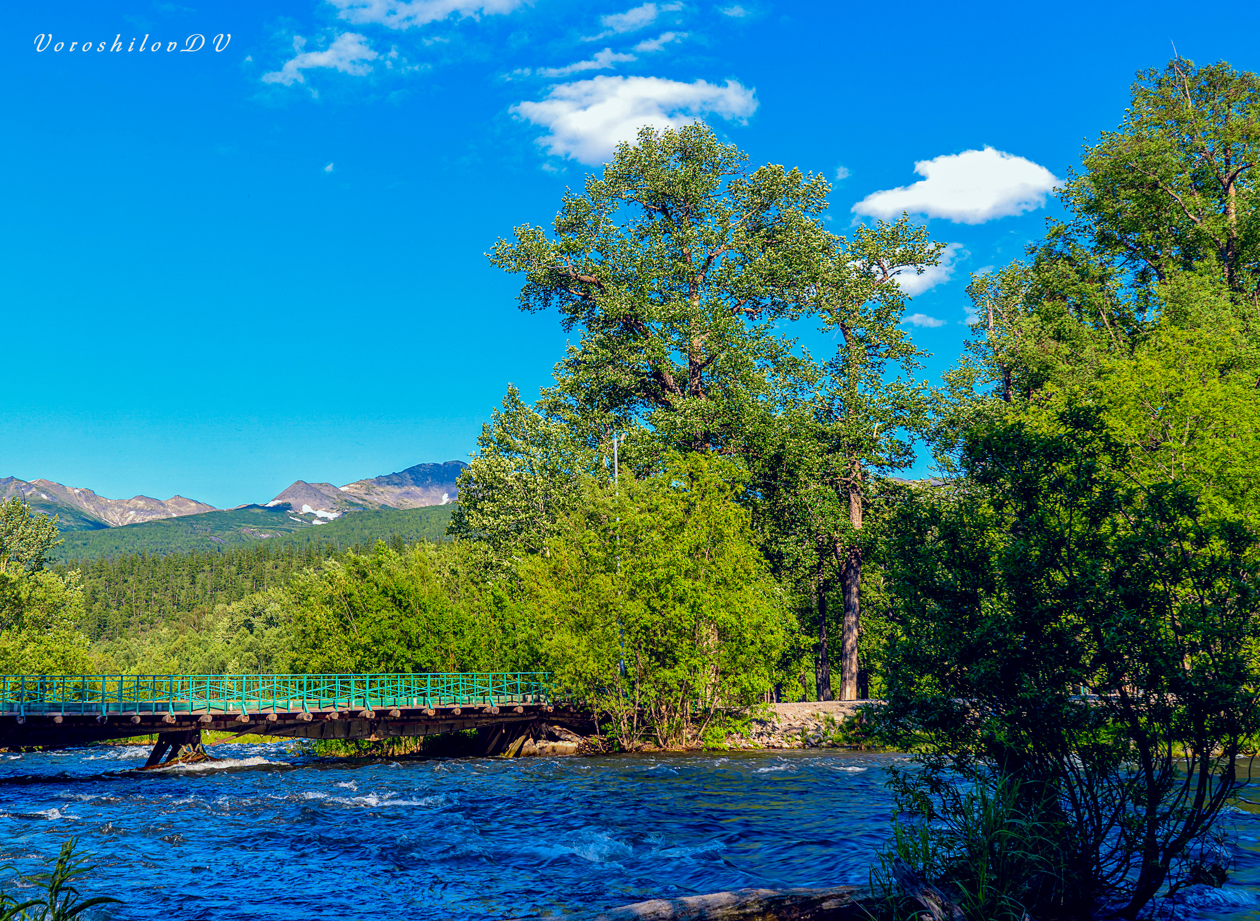 Лето. Фотограф Ворошилов Дмитрий. Эссо. Камчатка