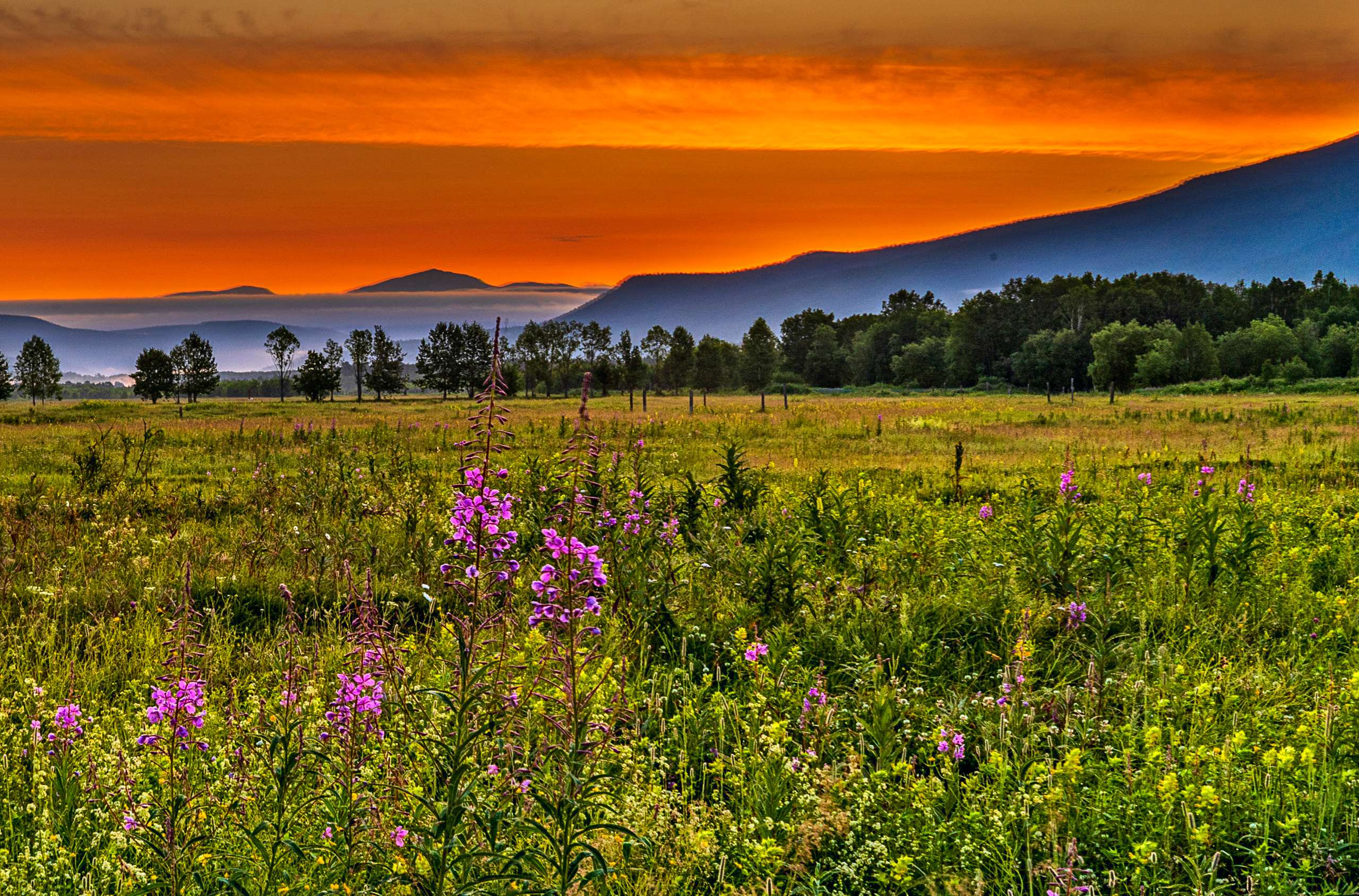 Лето. Фотограф Ворошилов Дмитрий. Эссо. Камчатка