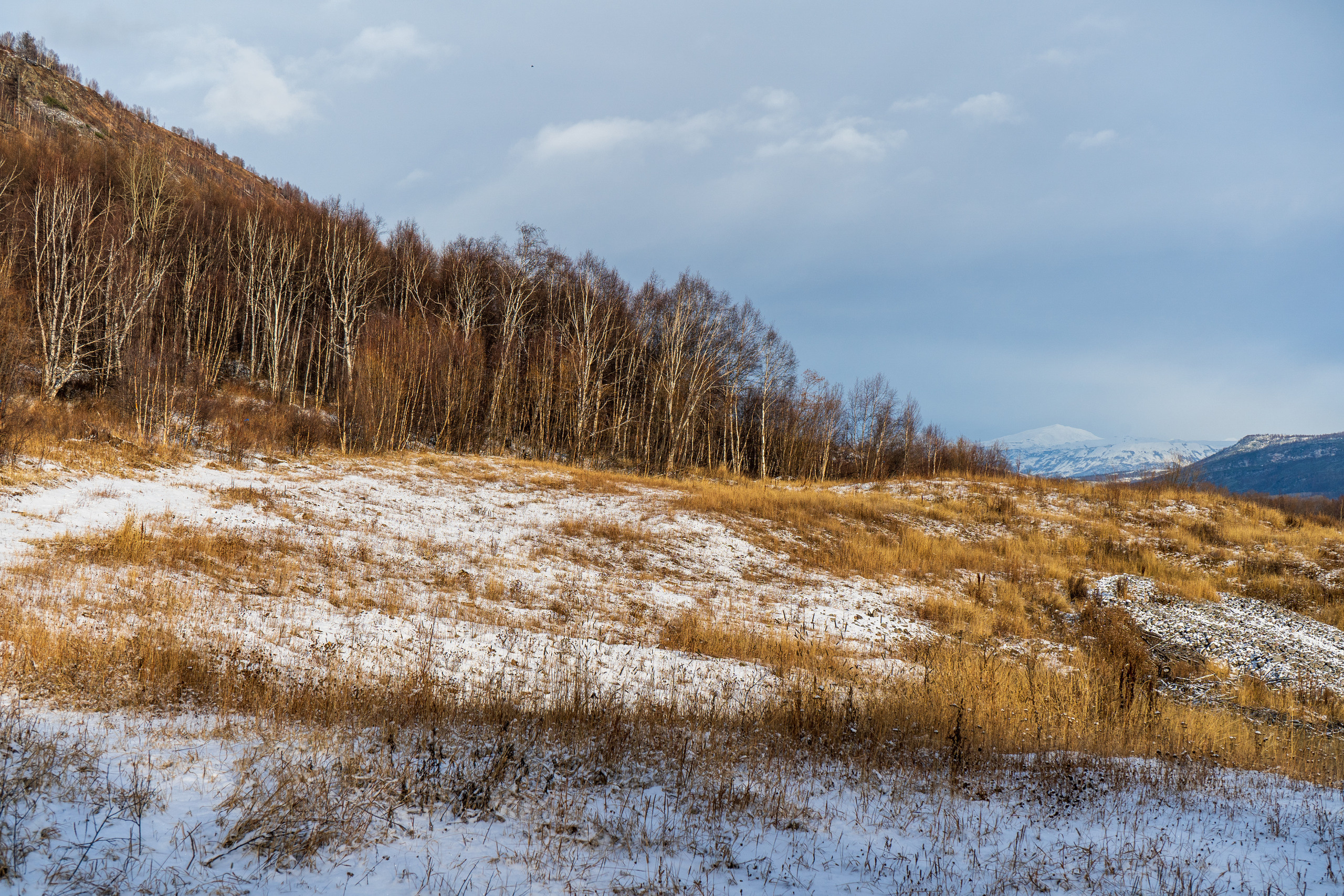 эссо фотокамчатка фото