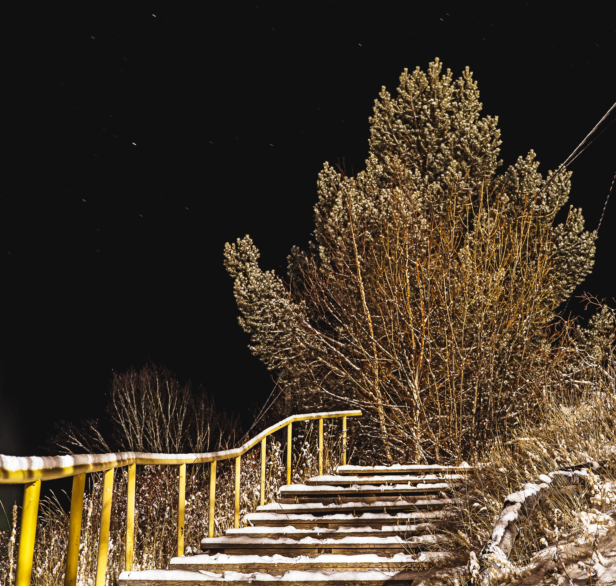 эссо фотокамчатка фото